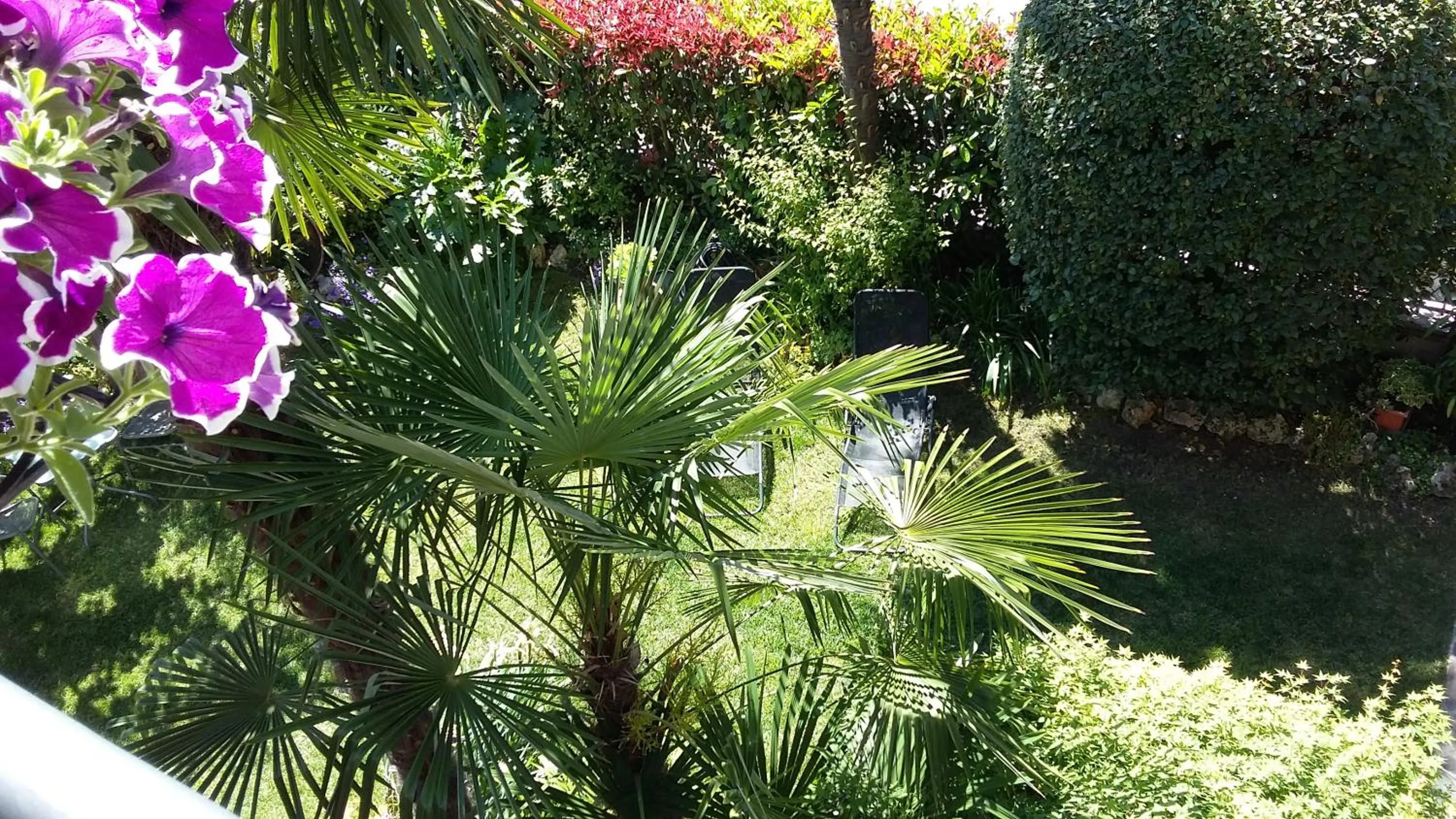 Garden in B&B Il Paiolo