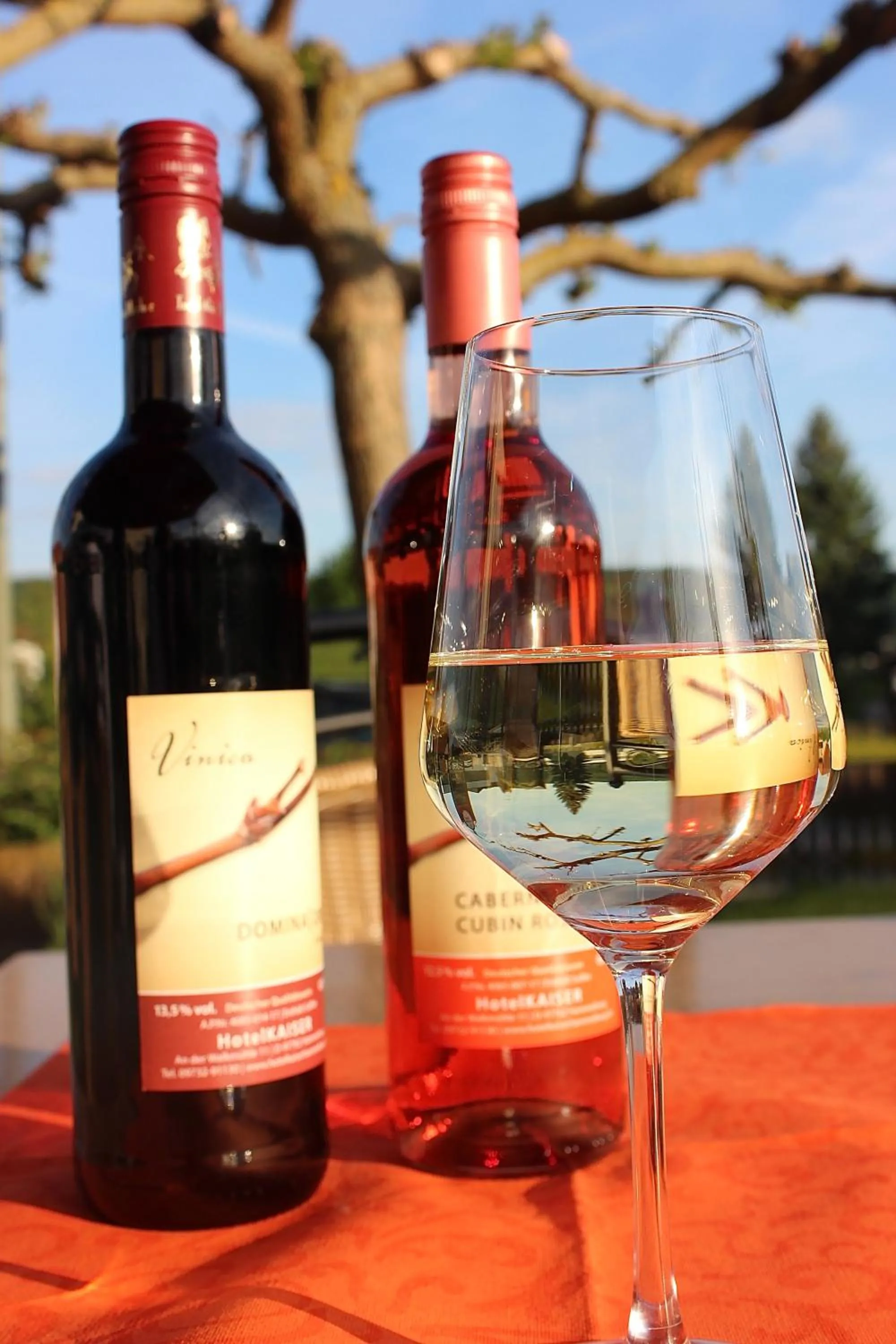 Kaiser´s Weinland Hotel