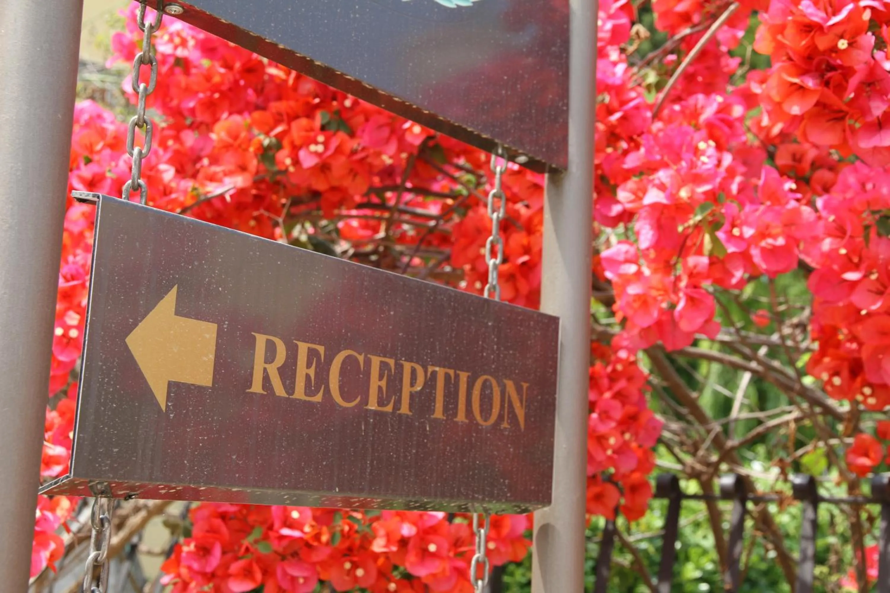 Decorative detail in Masseria Case Damma