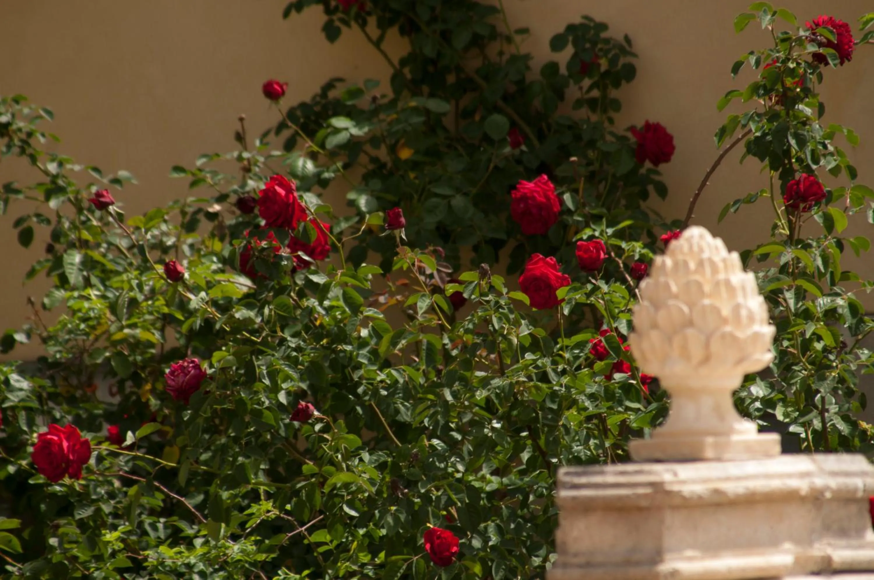 Bird's eye view in Masseria Case Damma