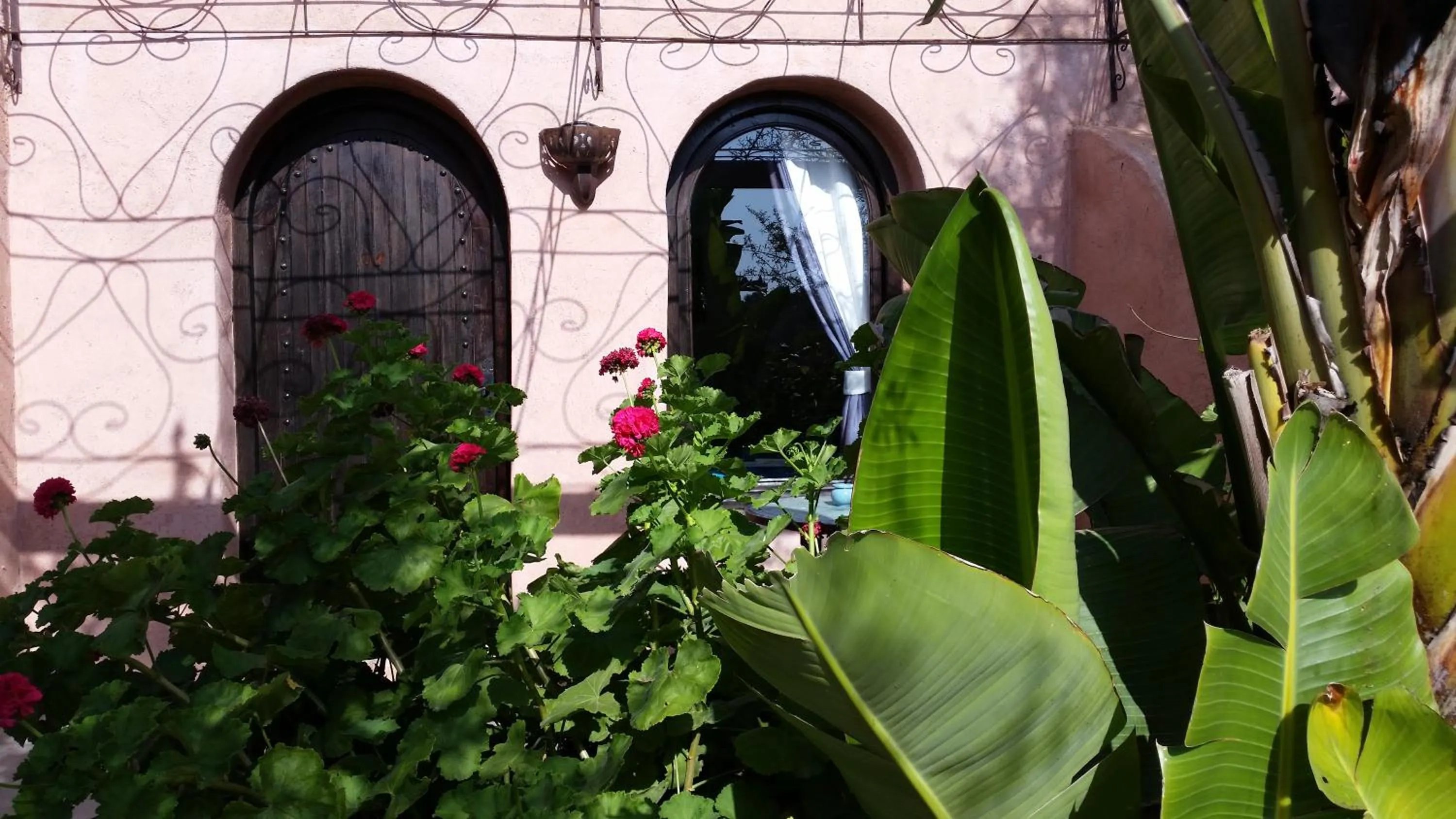 Garden view in Paradis Nomade