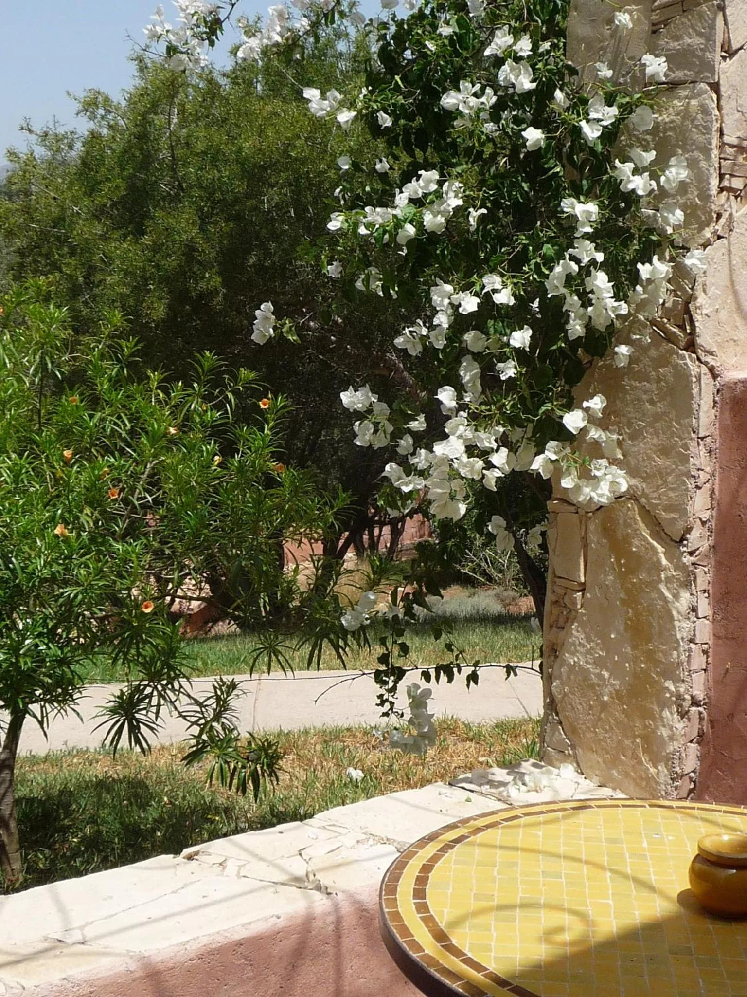 Garden in Paradis Nomade