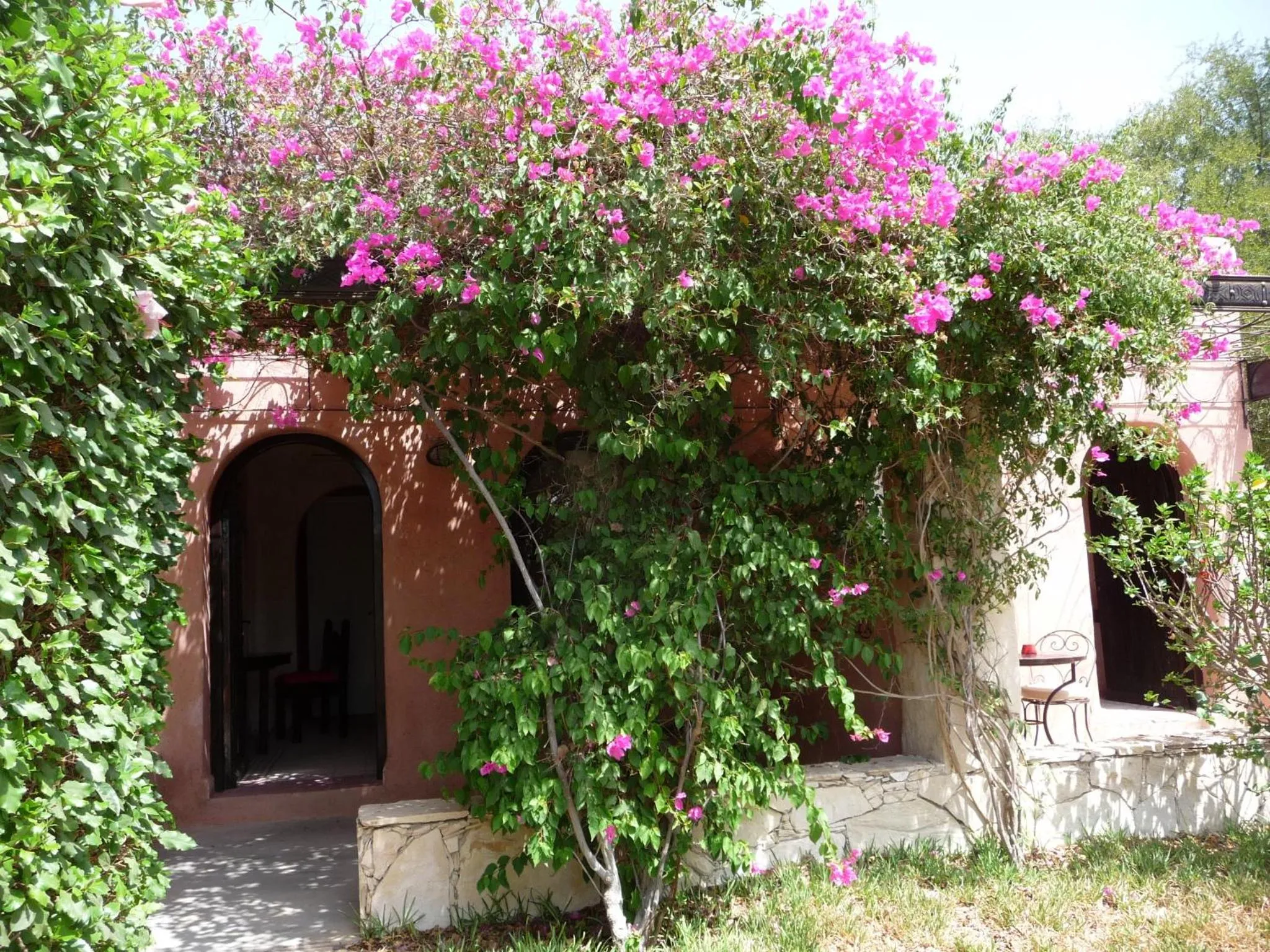 Garden view in Paradis Nomade