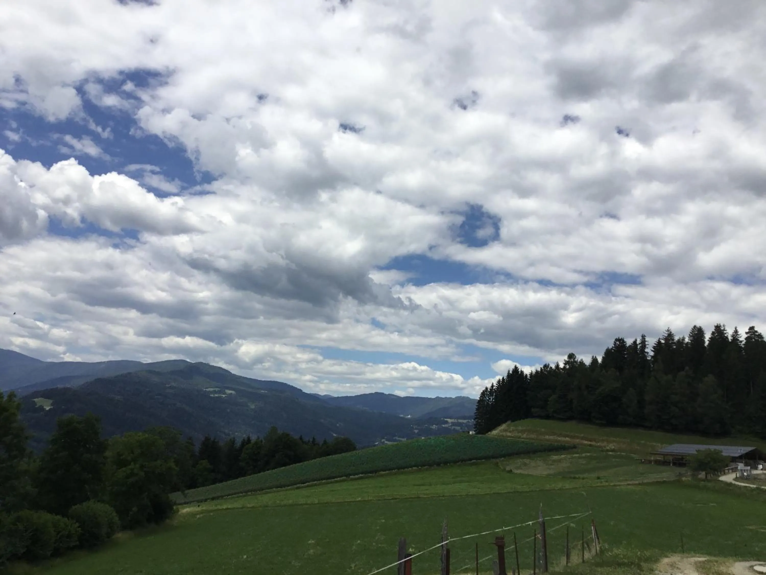 Gasthof Wadl