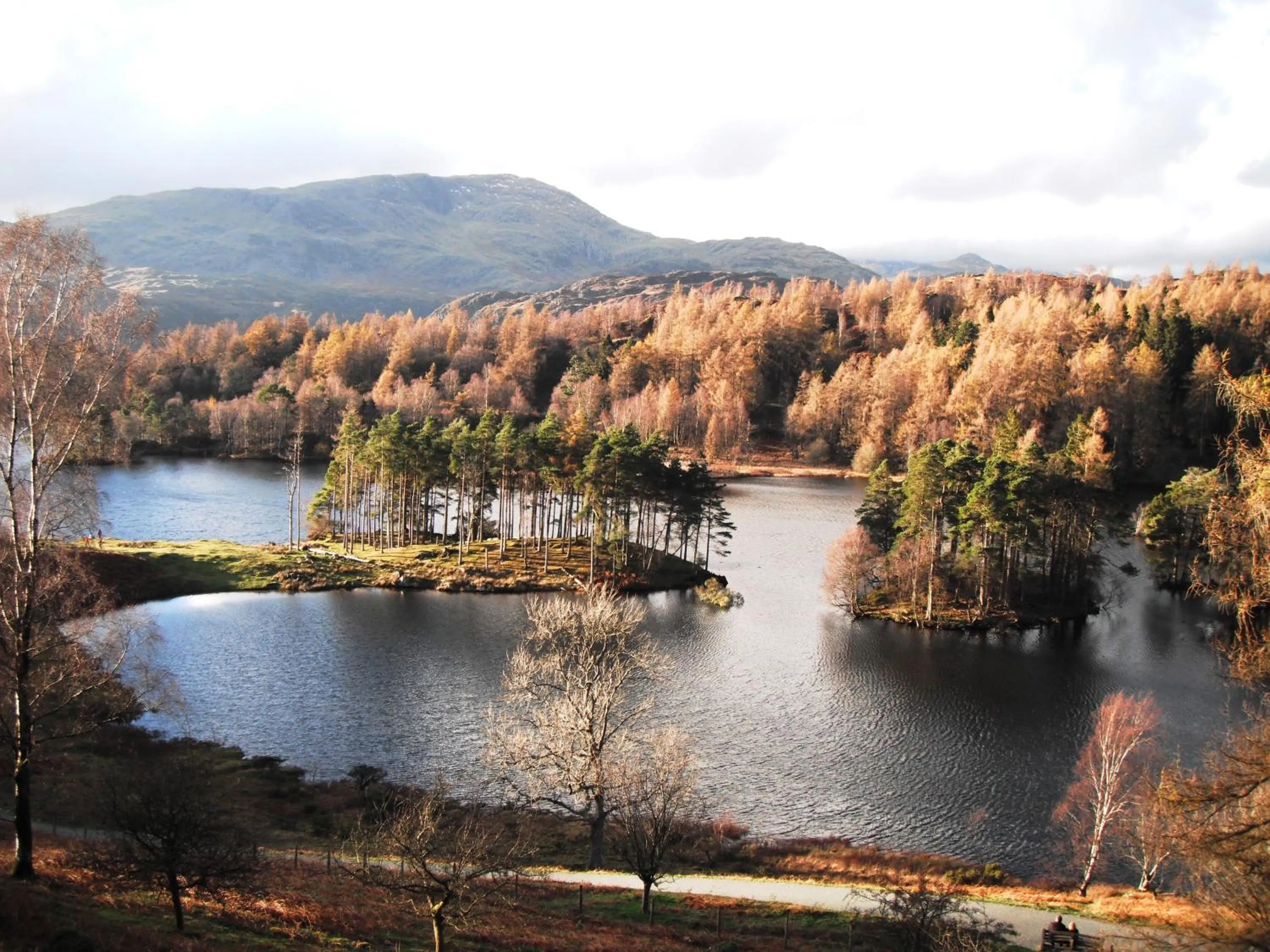 Natural landscape in Laurel Cottage