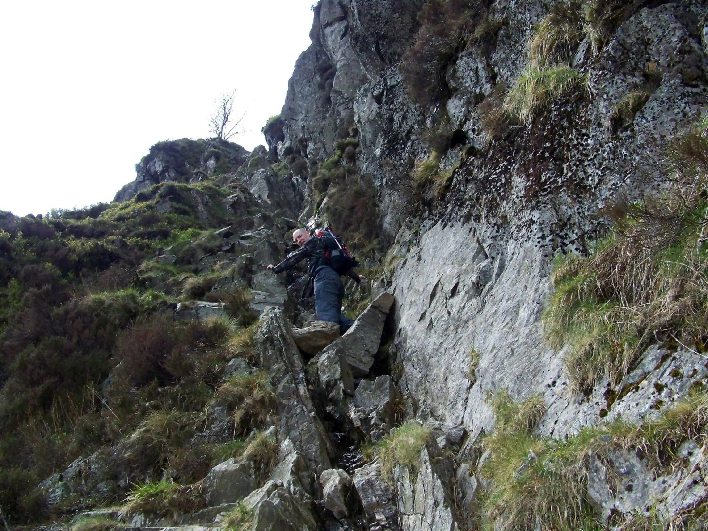 Day in Laurel Cottage