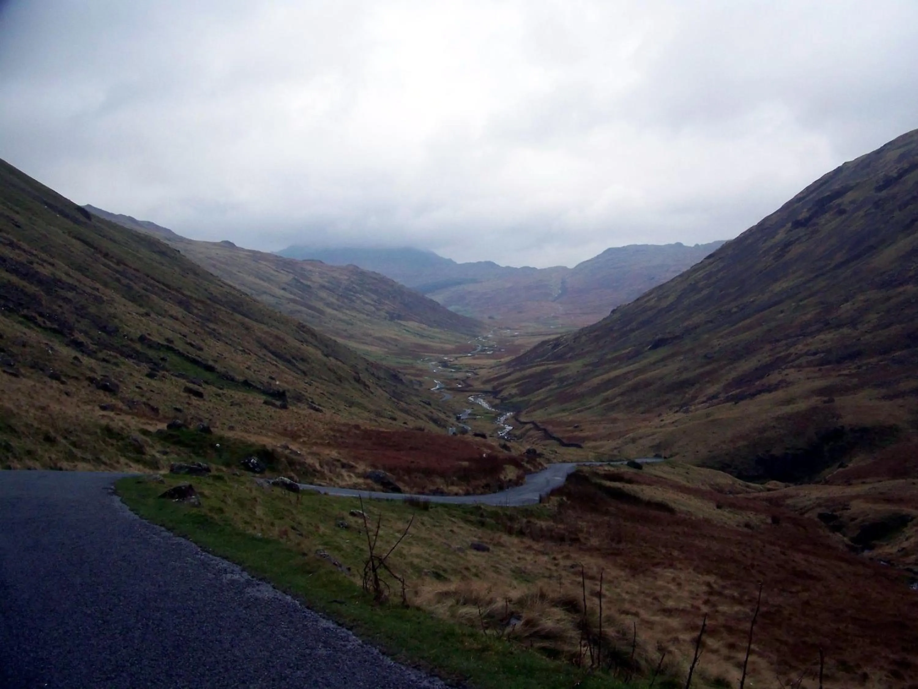 Natural landscape in Laurel Cottage