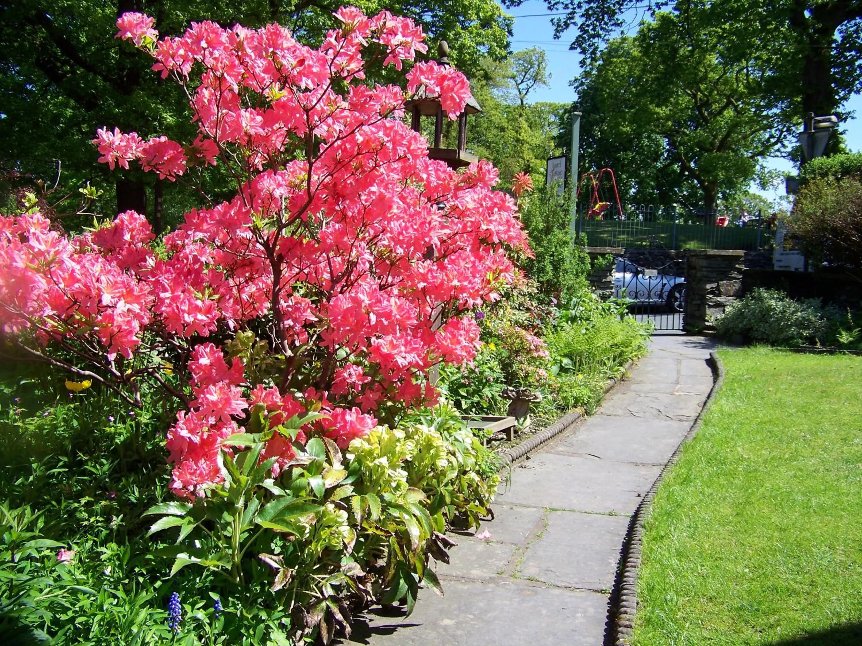 Day, Garden in Laurel Cottage