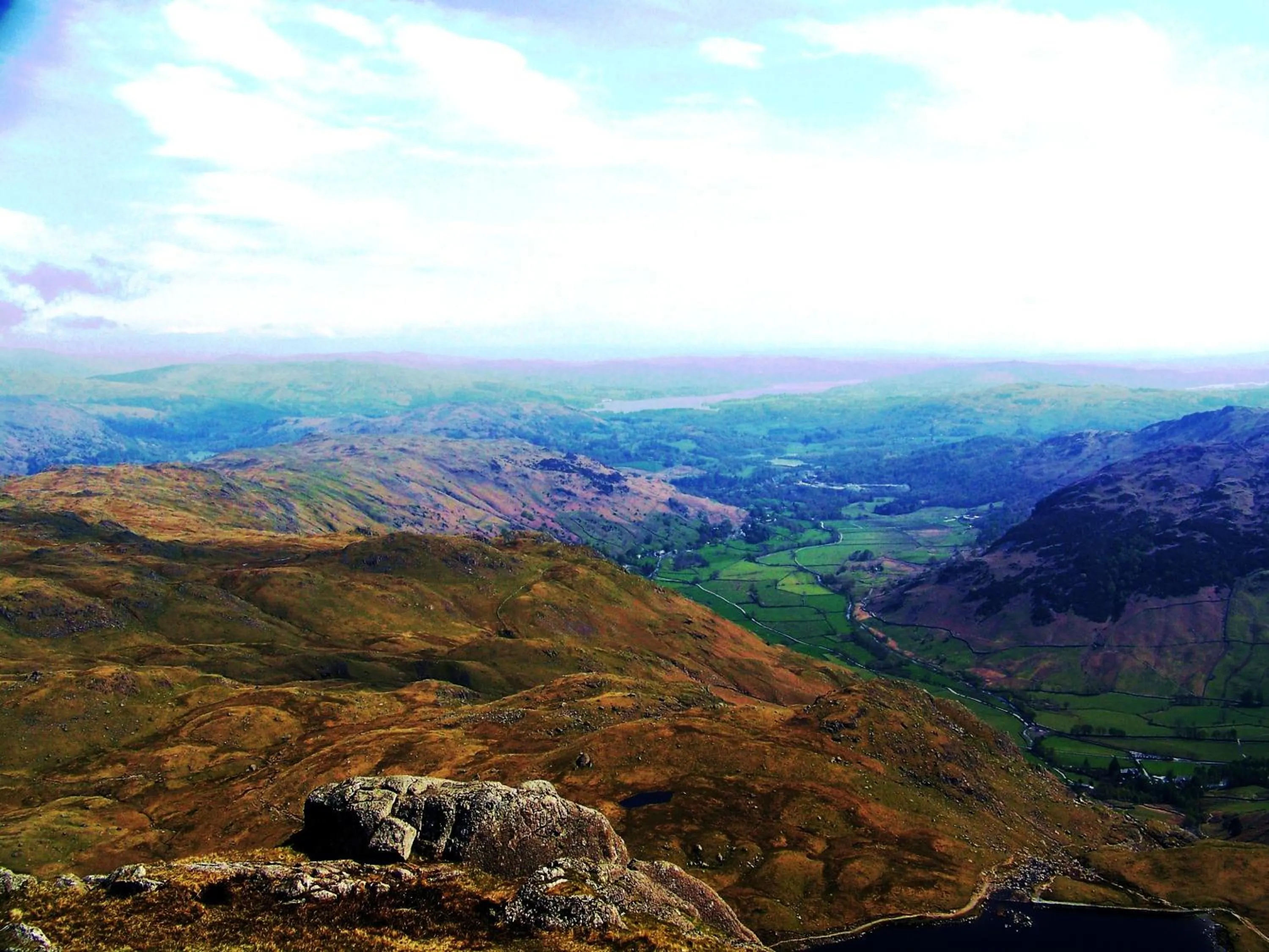 Natural landscape, Bird's-eye View in Laurel Cottage