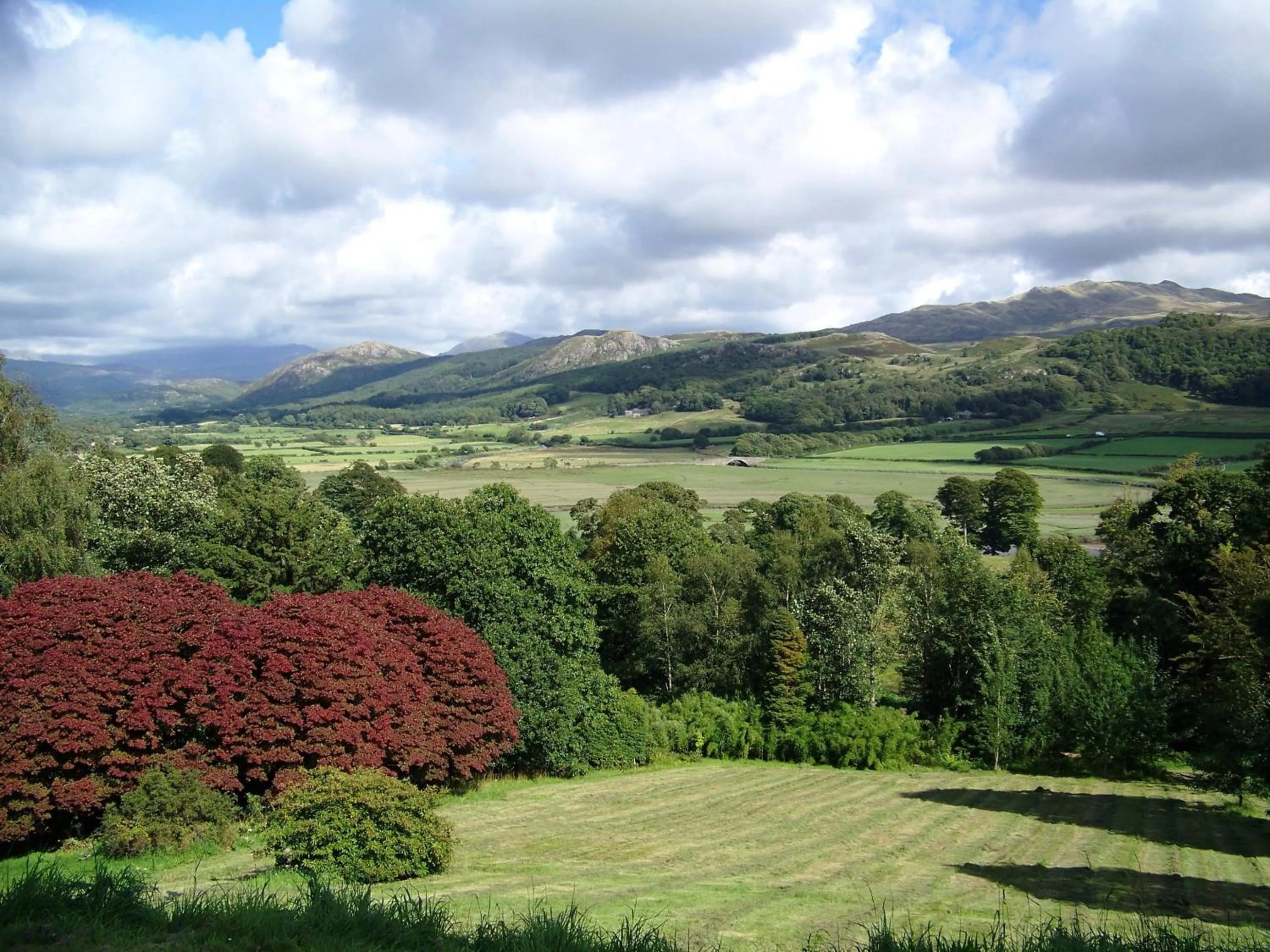 Natural landscape in Laurel Cottage