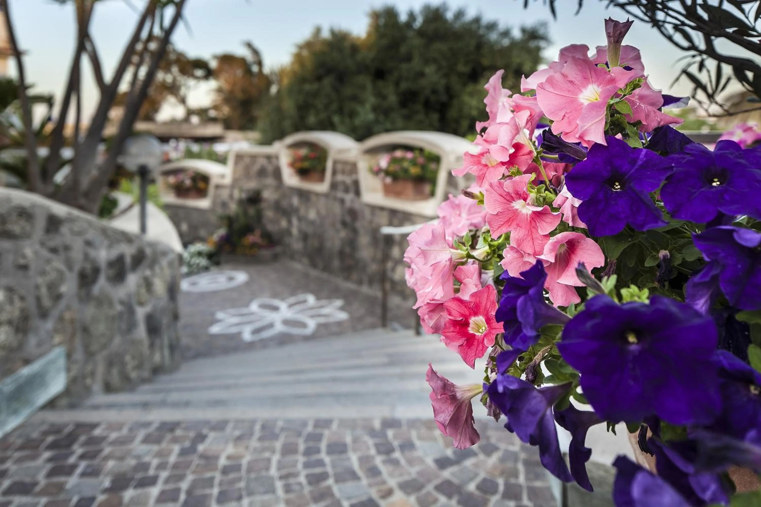 Garden in Ischia Blu Resort