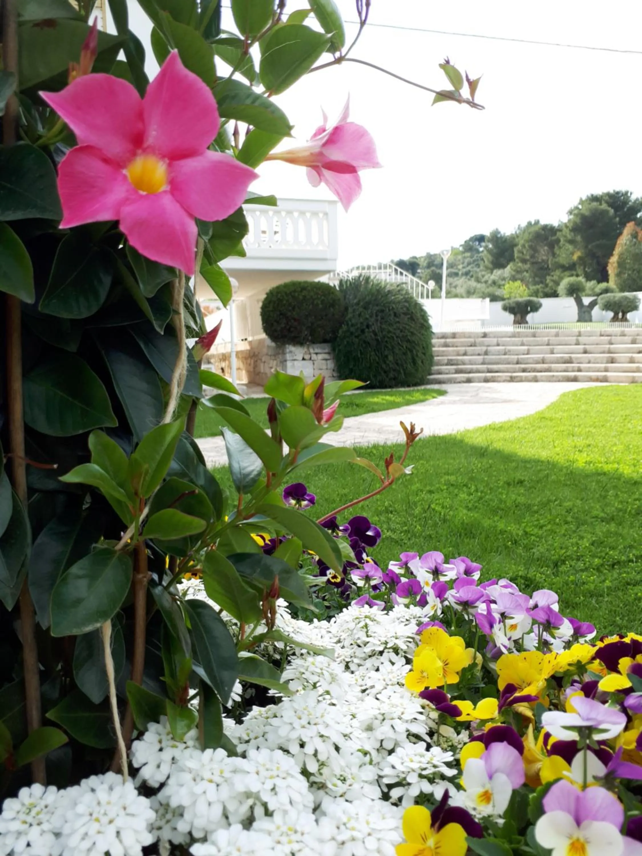 Natural landscape in Villa Natia