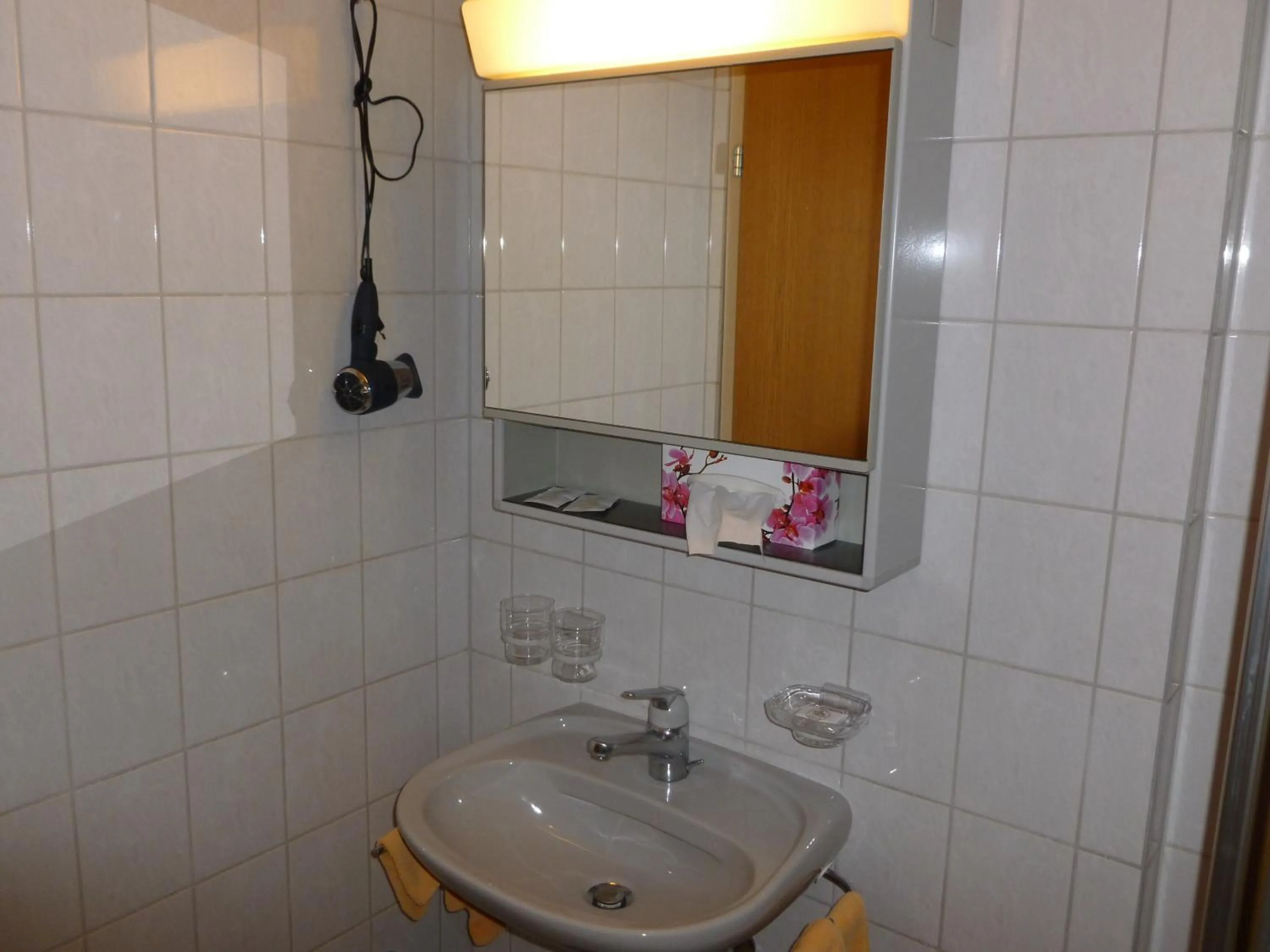 Bathroom in Hotel Restaurant Schiff