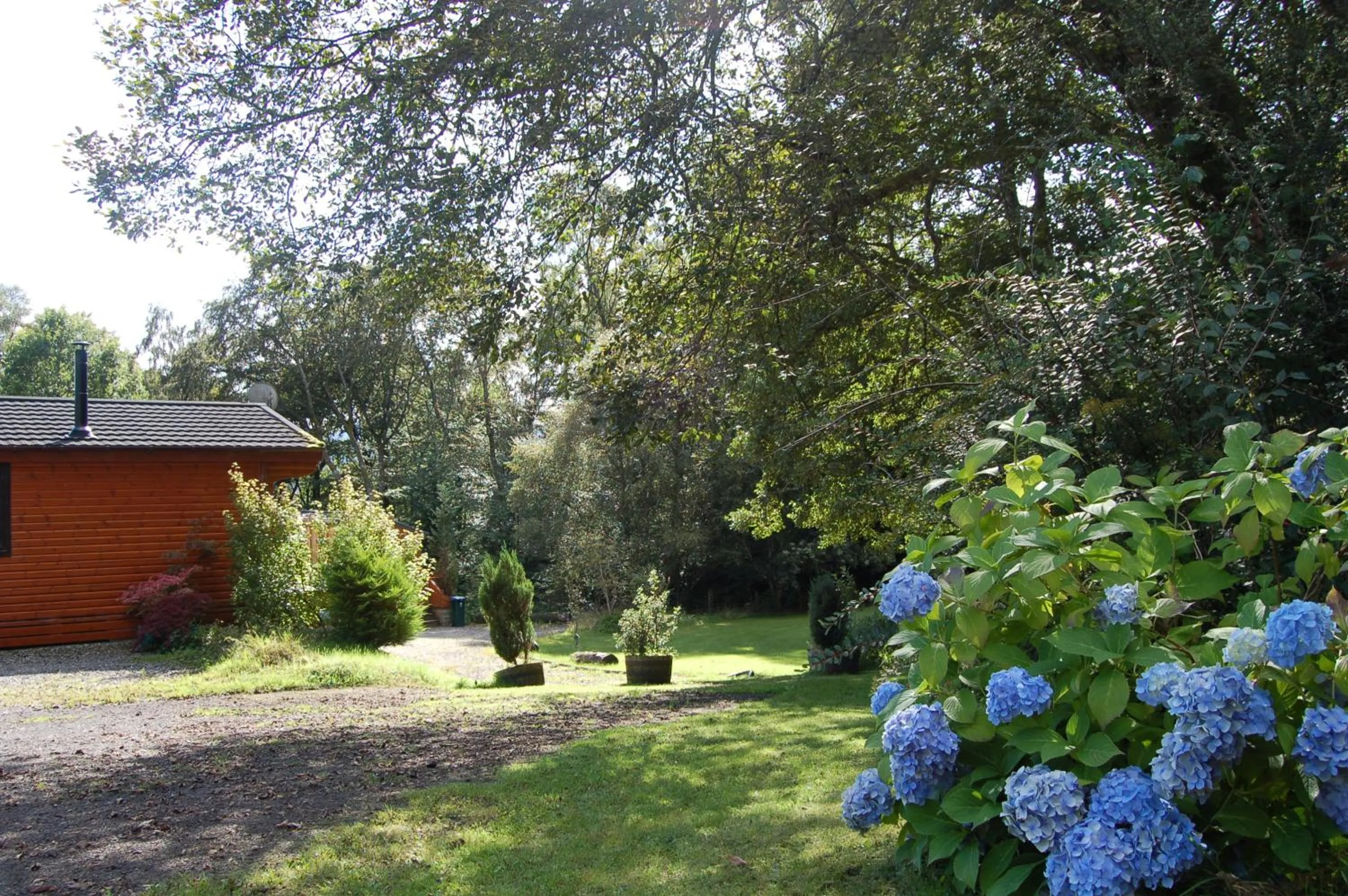 Luxury woodland Alder Lodge