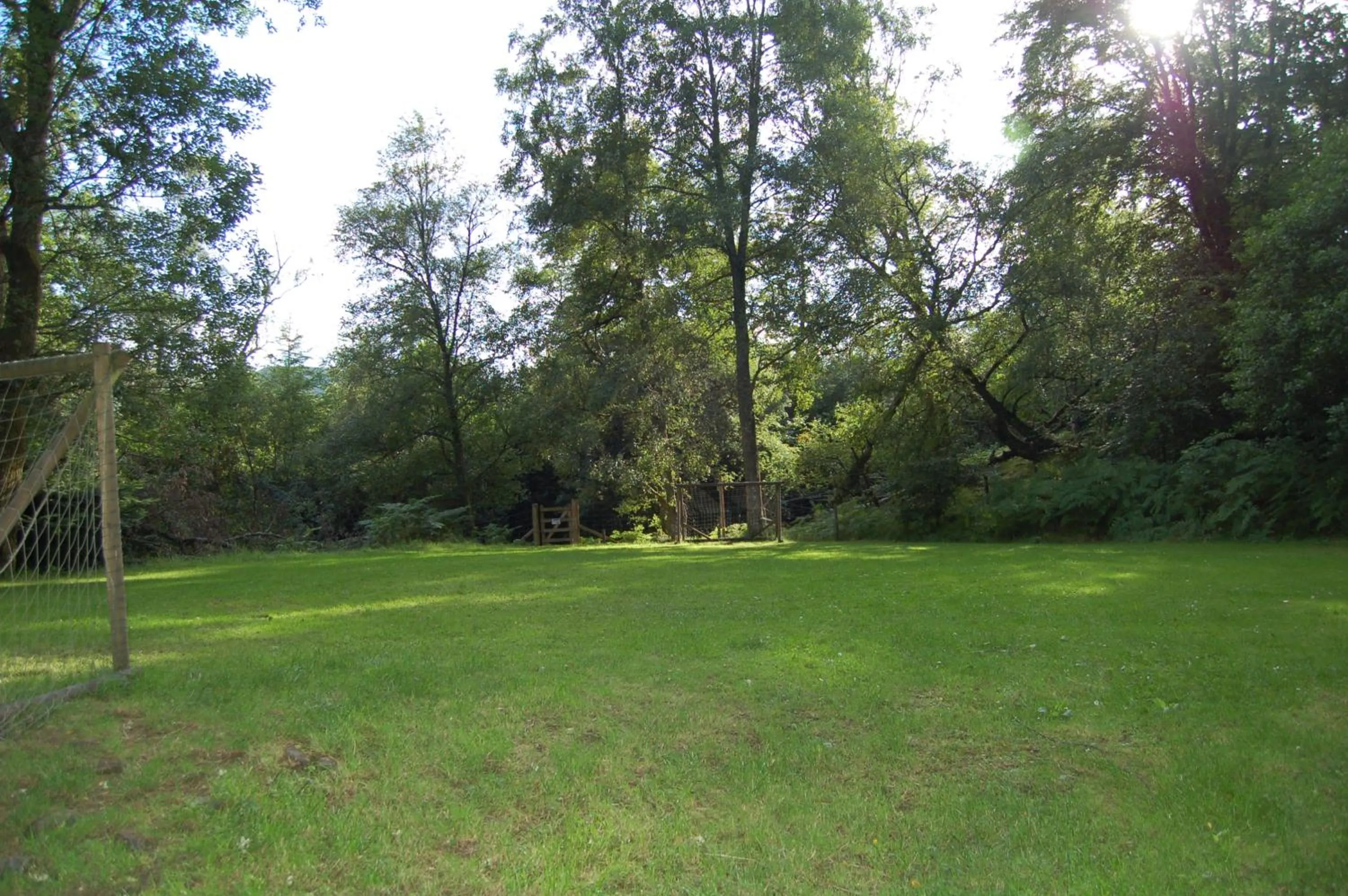 Luxury woodland Alder Lodge
