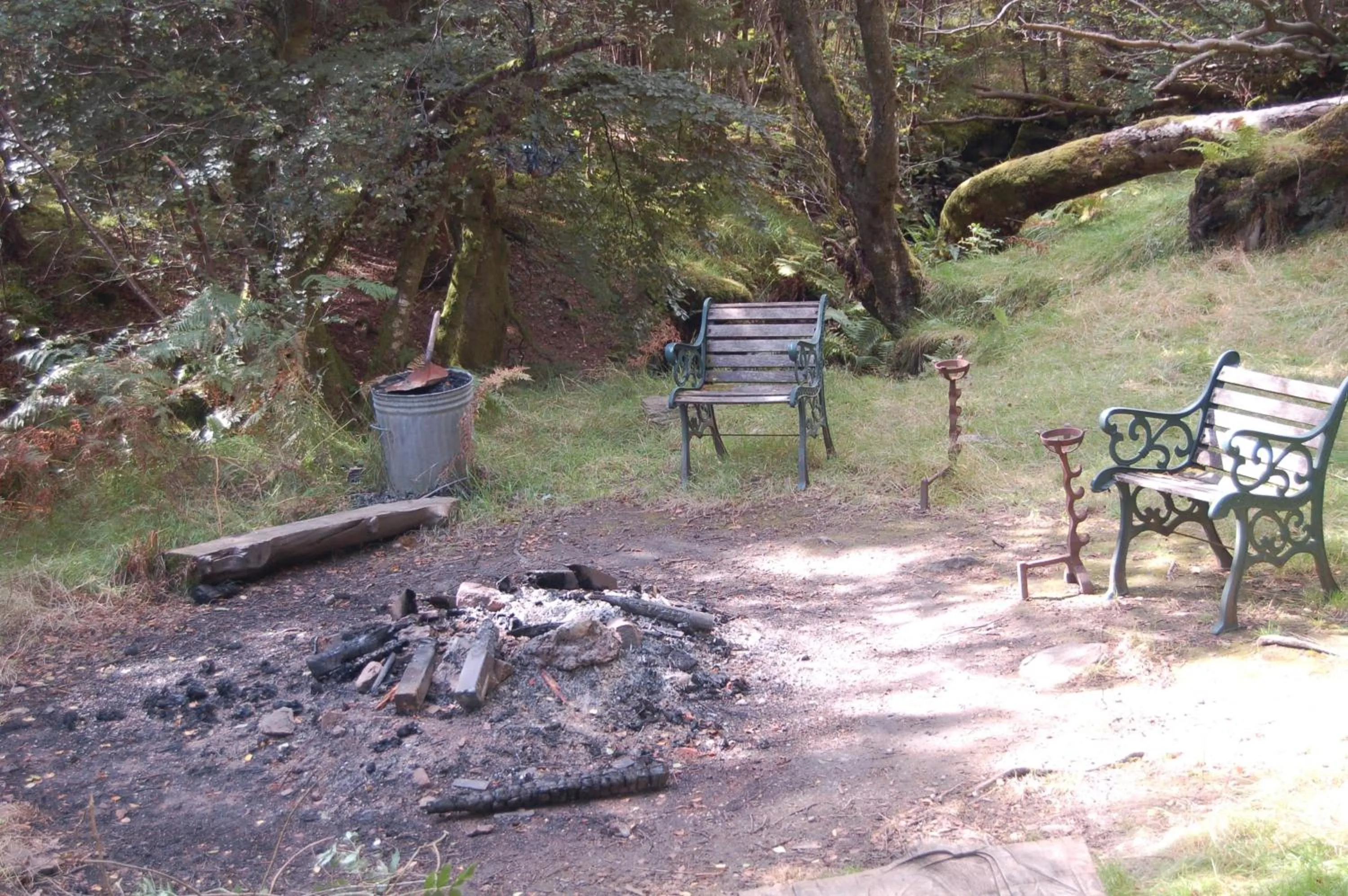 Luxury woodland Alder Lodge