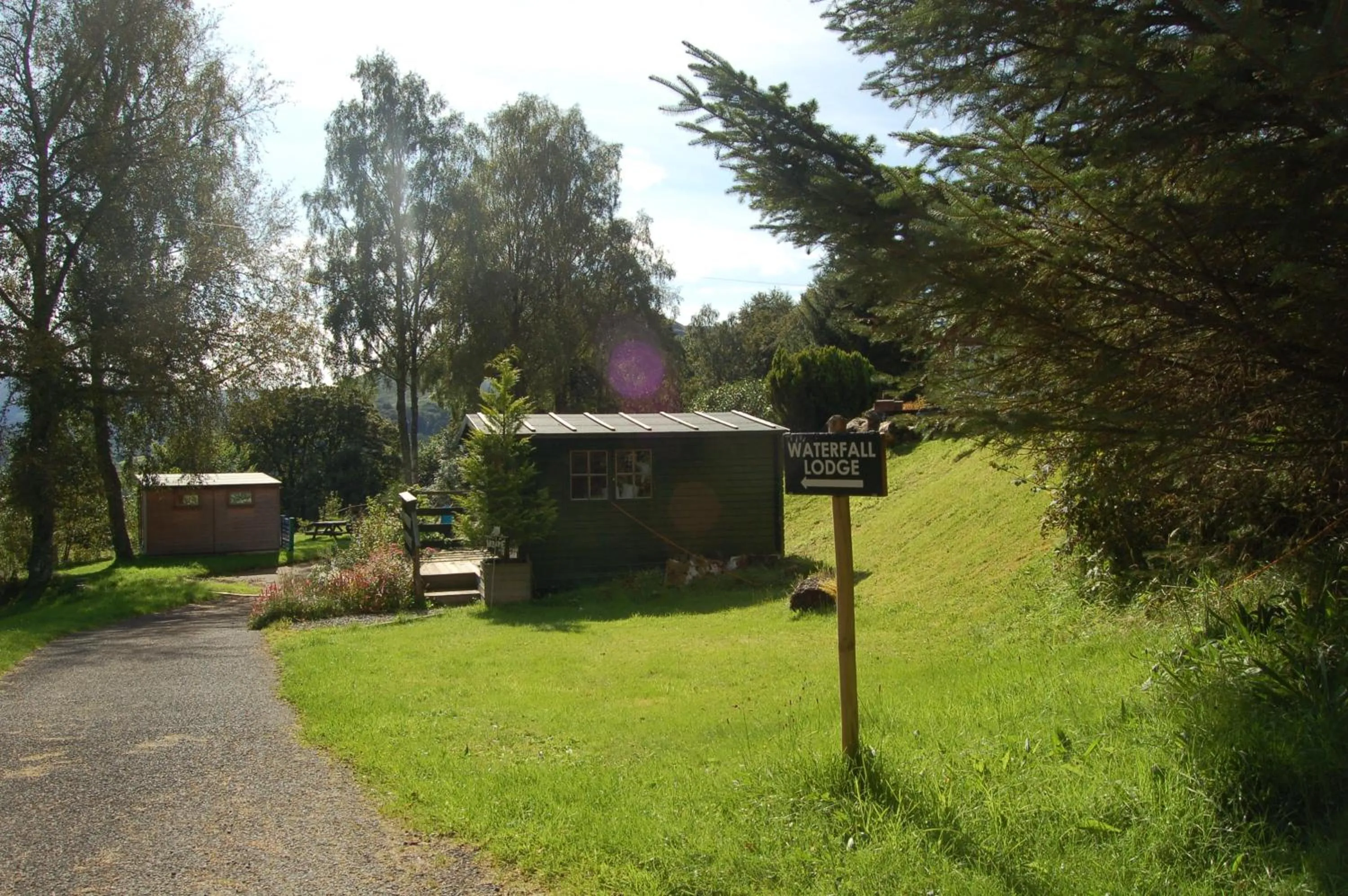 Luxury woodland Alder Lodge