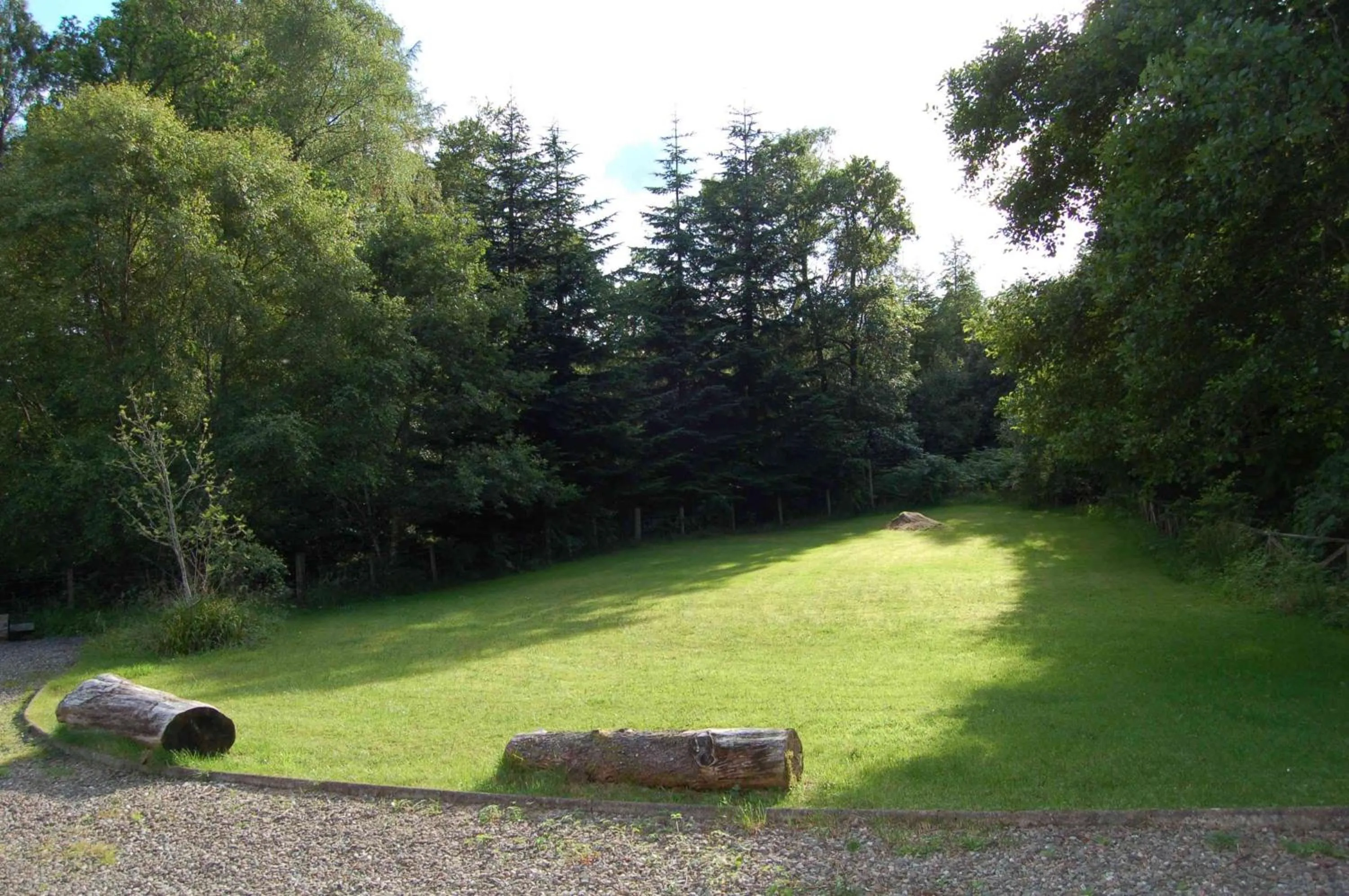 Luxury woodland Alder Lodge