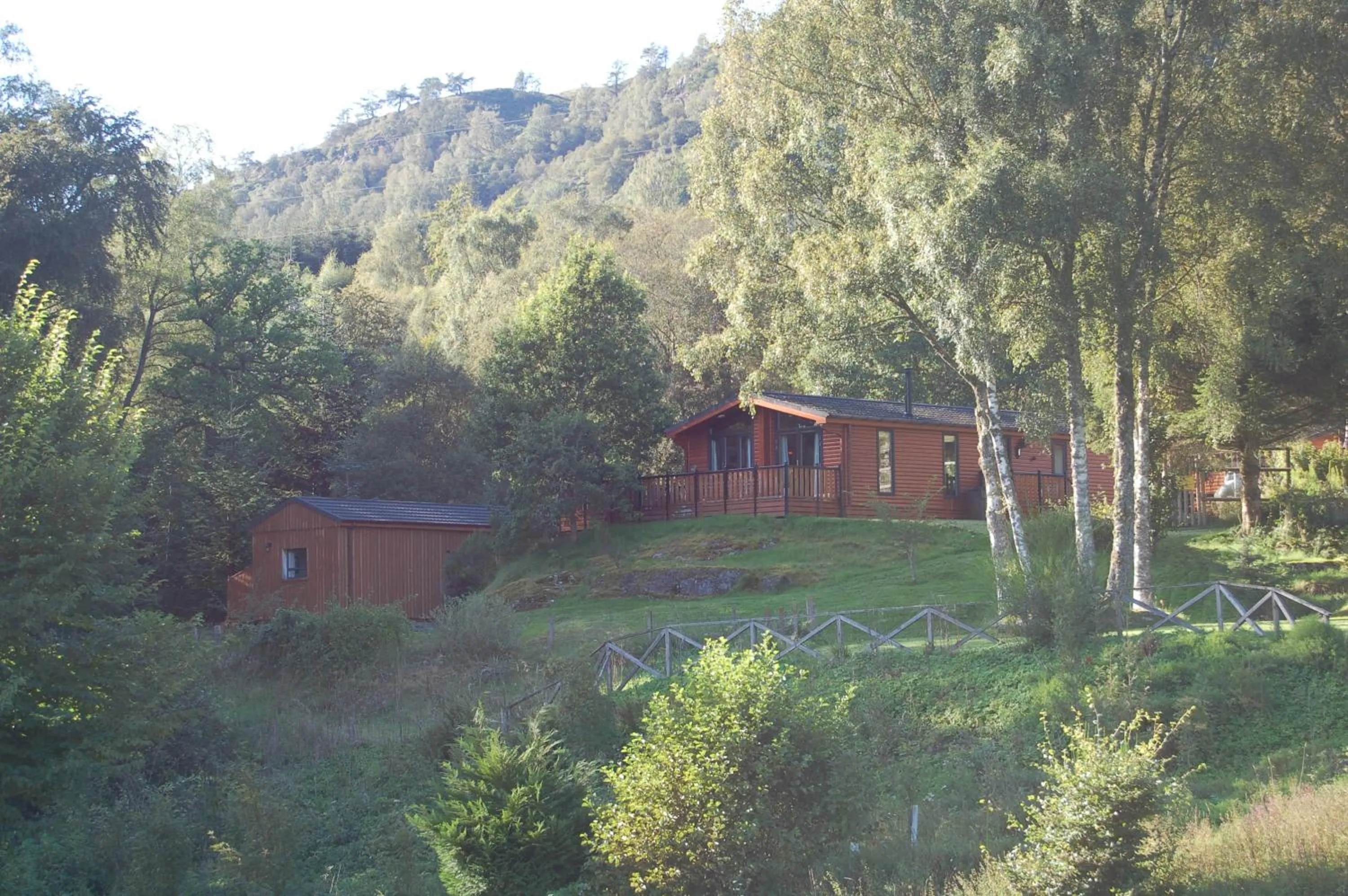 Luxury woodland Alder Lodge