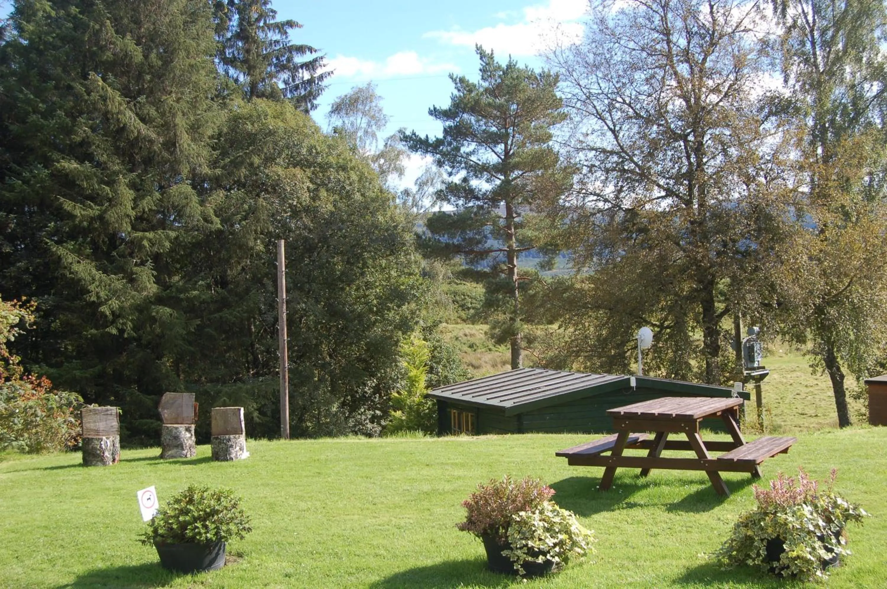 Luxury woodland Alder Lodge
