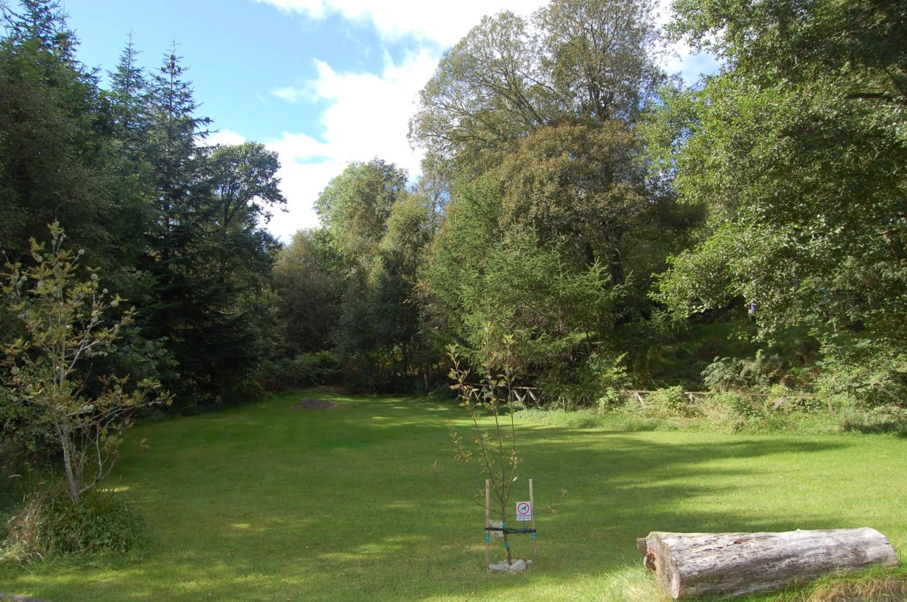 Luxury woodland Alder Lodge
