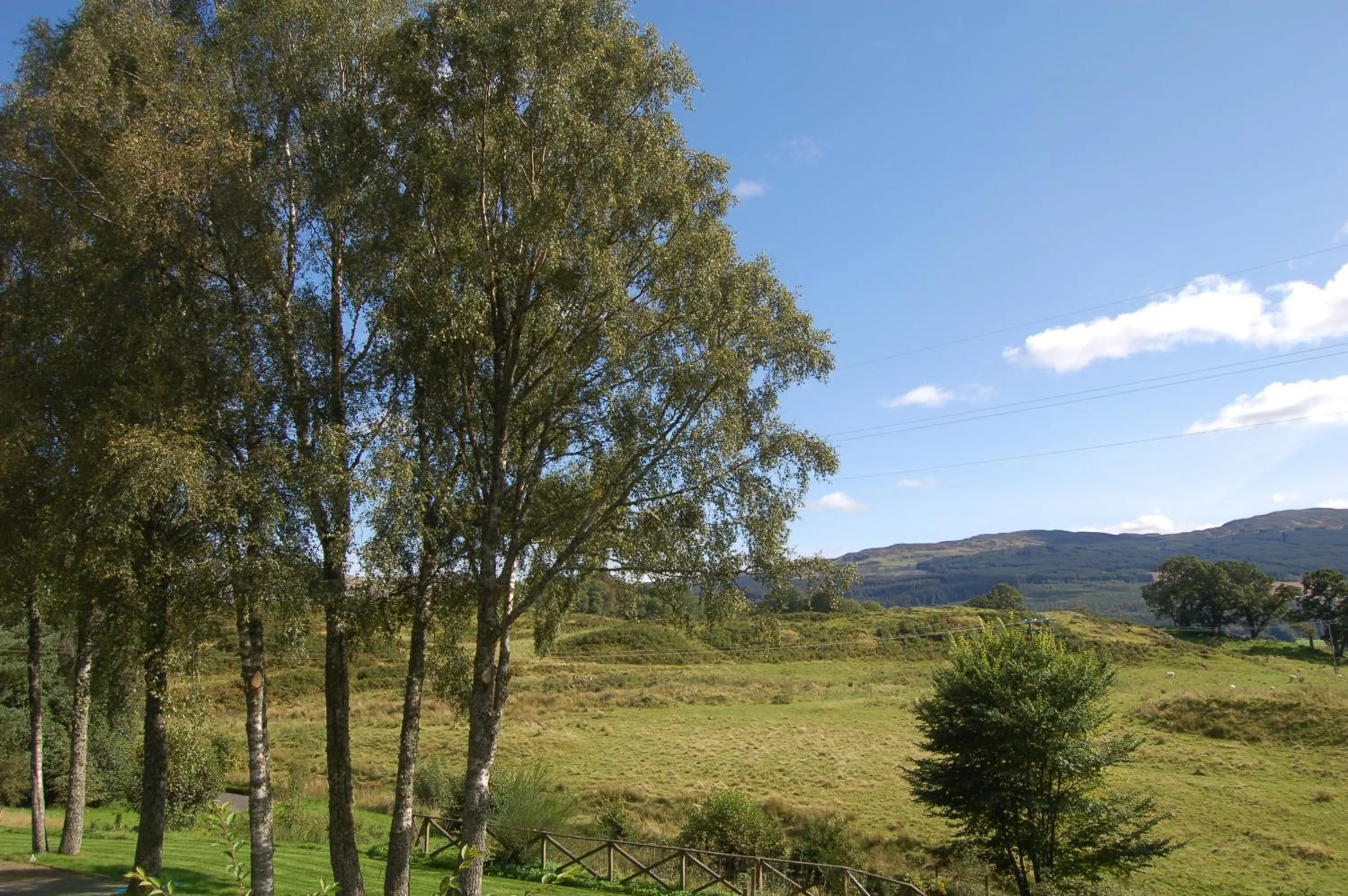 Luxury woodland Alder Lodge