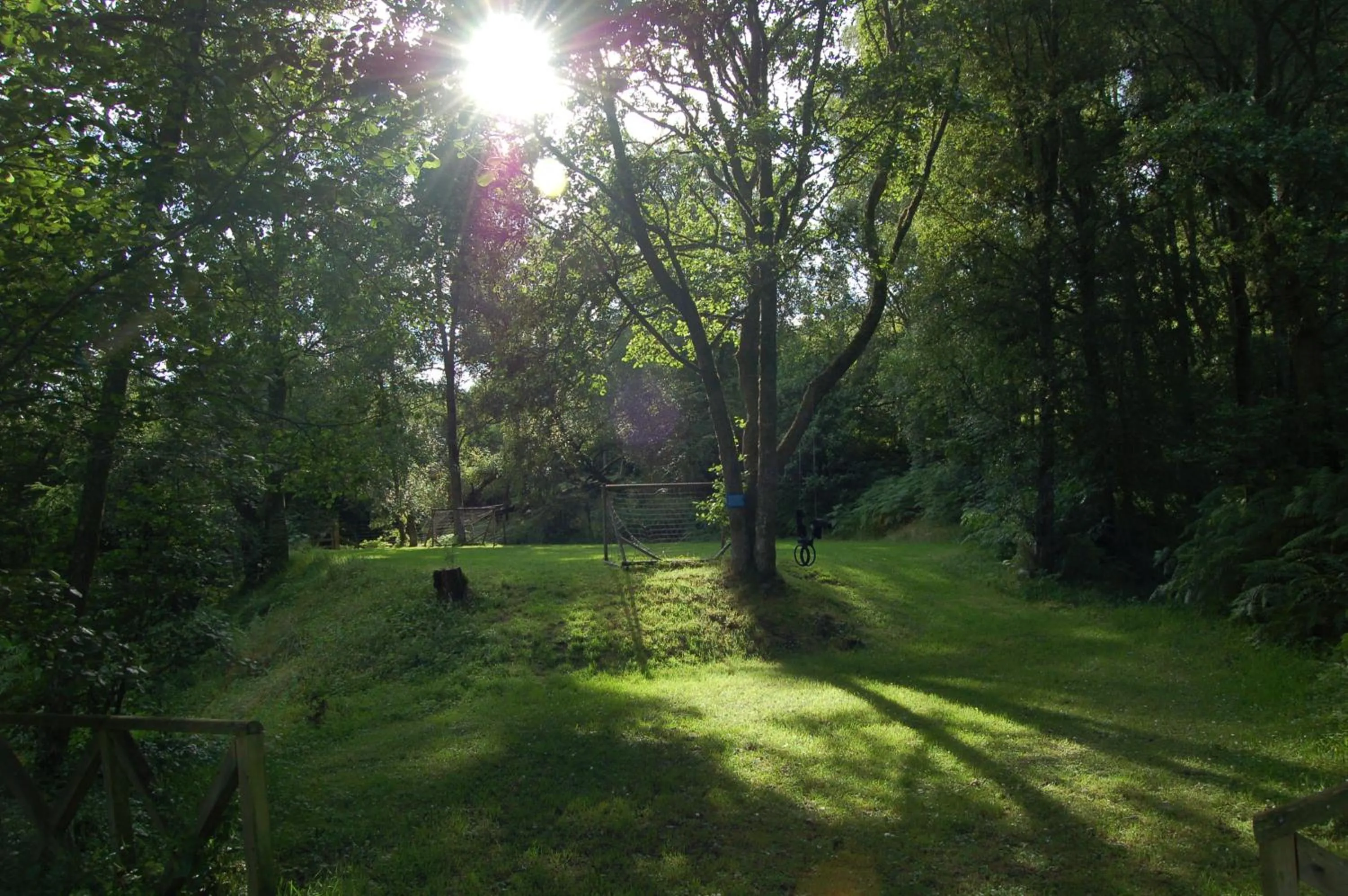 Luxury woodland Alder Lodge