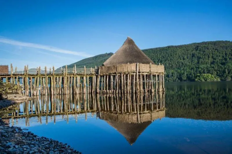 Luxury woodland Alder Lodge
