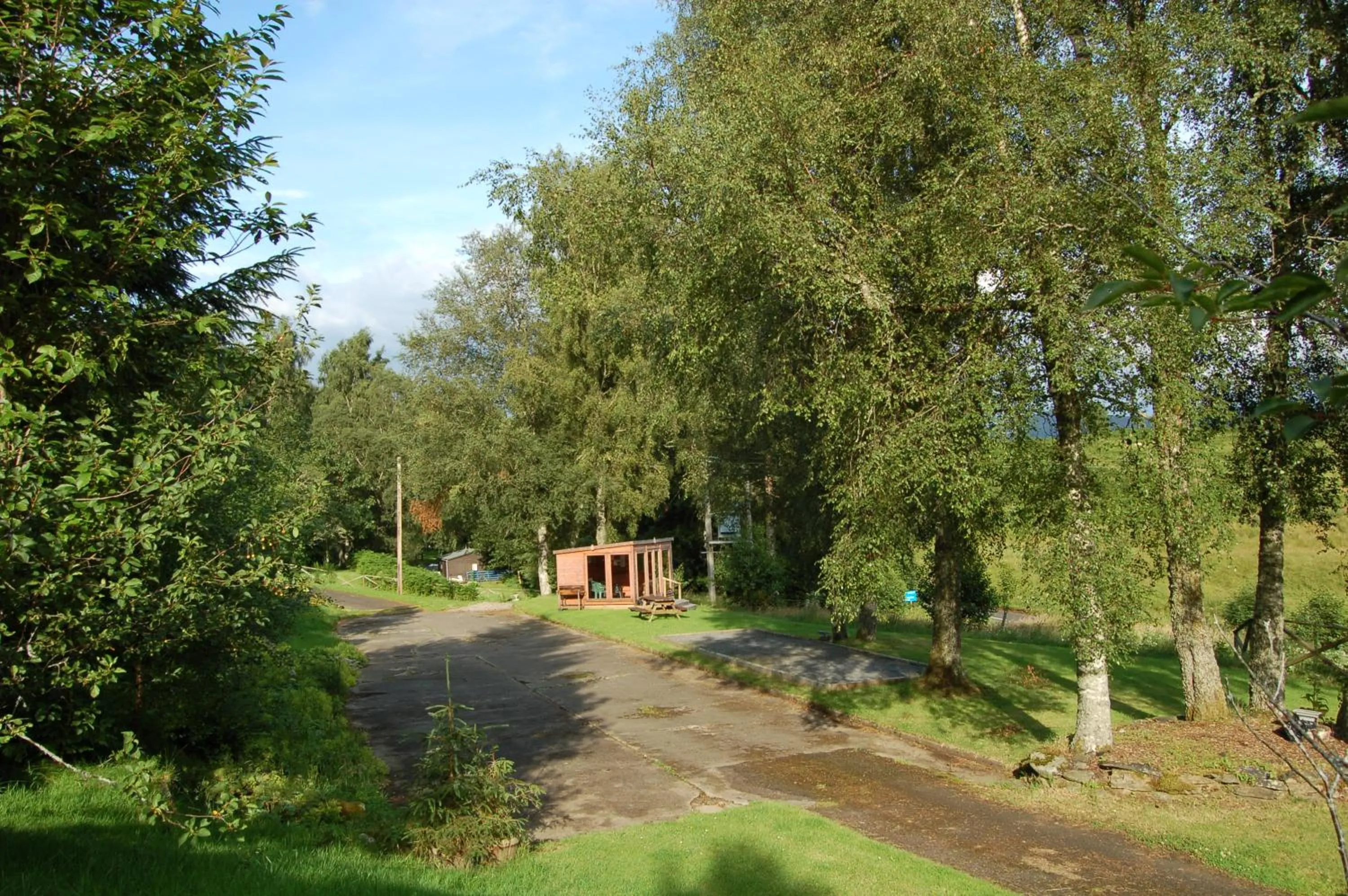 Luxury woodland Alder Lodge