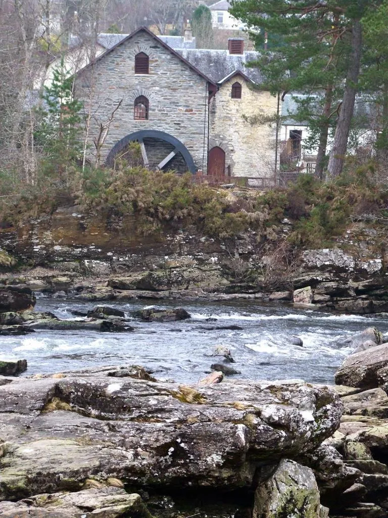 Luxury woodland Alder Lodge
