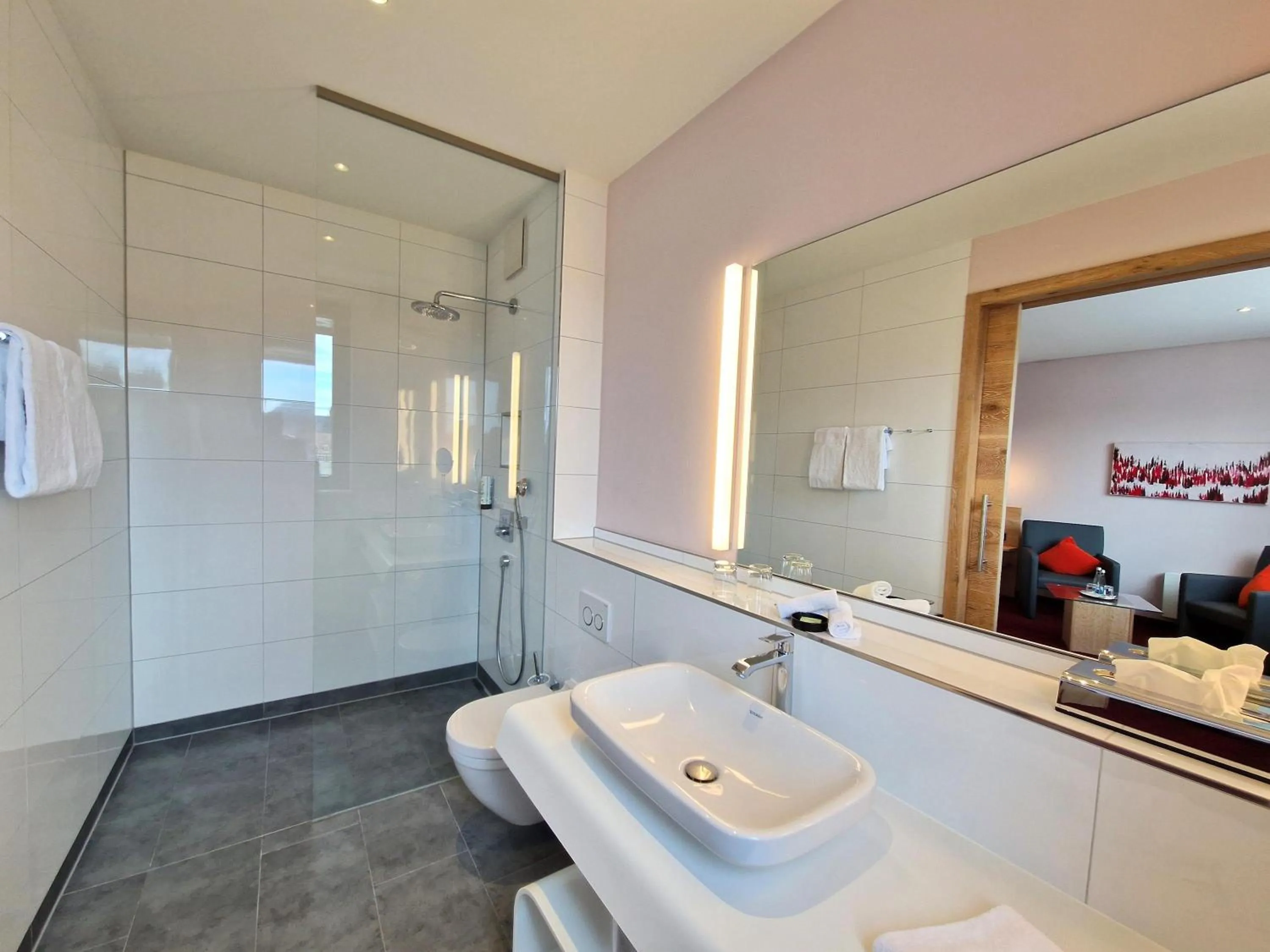 Shower in Mosers Blume Relax & Genuss Hotel