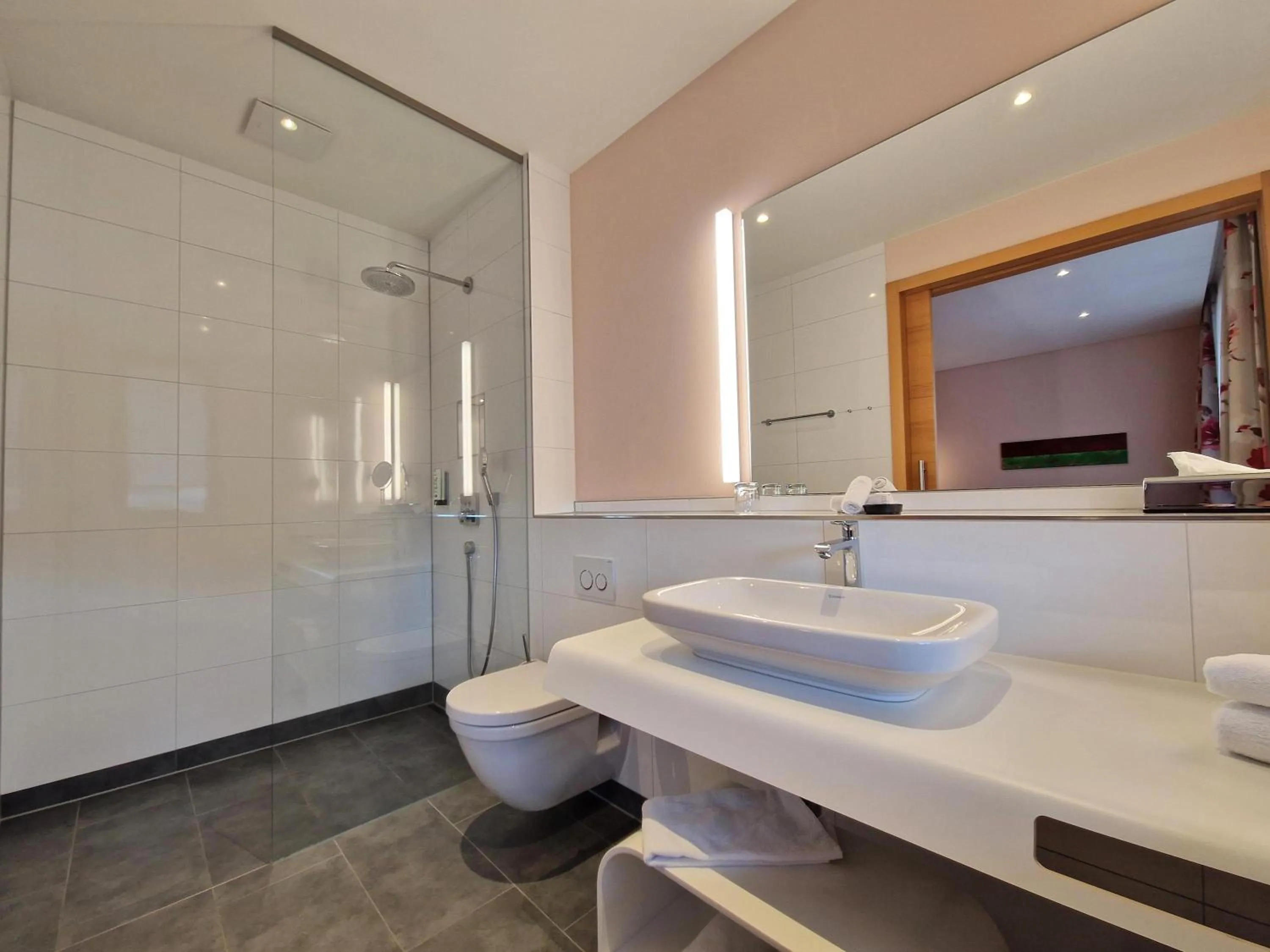 Shower in Mosers Blume Relax & Genuss Hotel