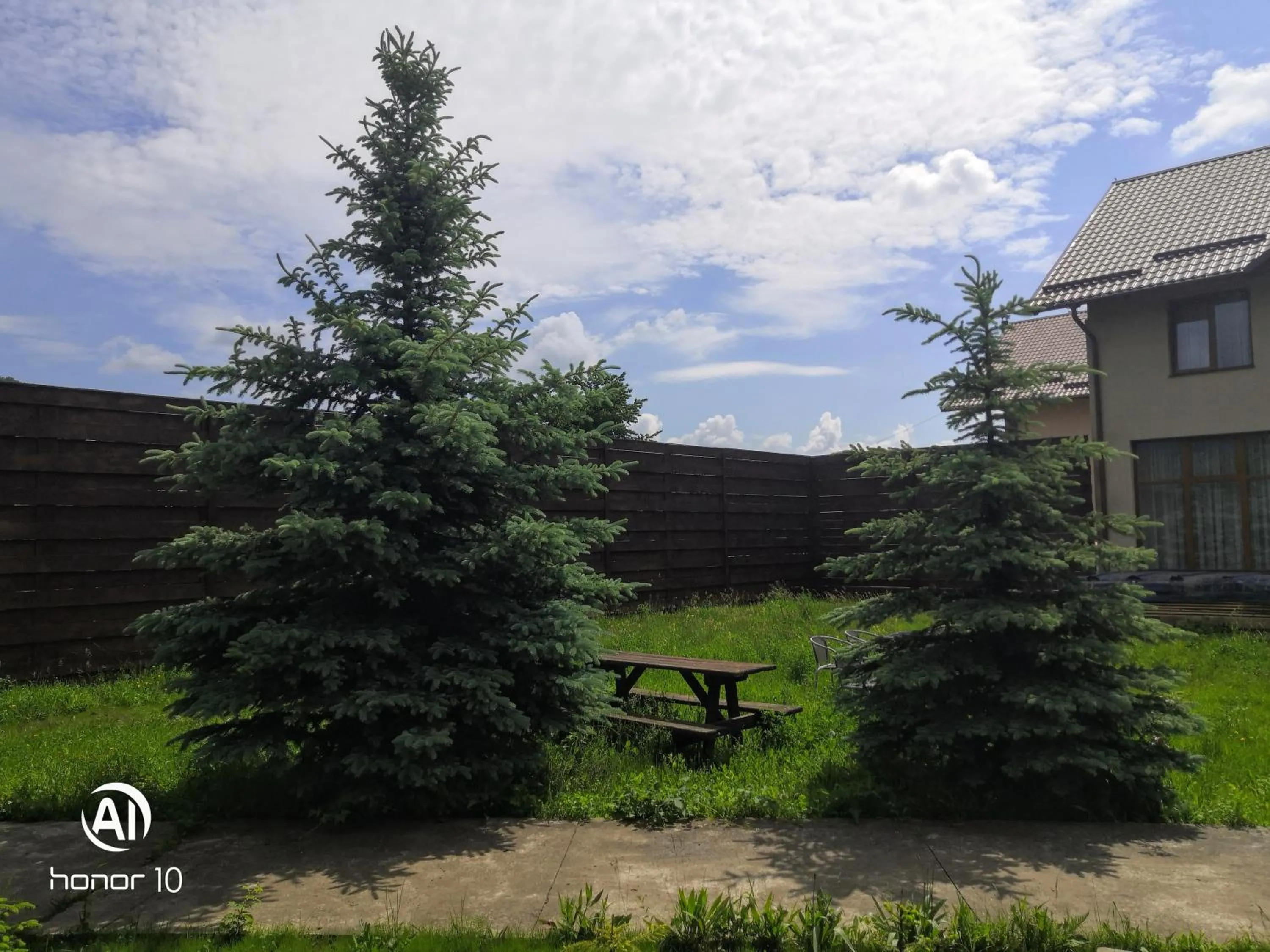 Garden in Casa Rubin