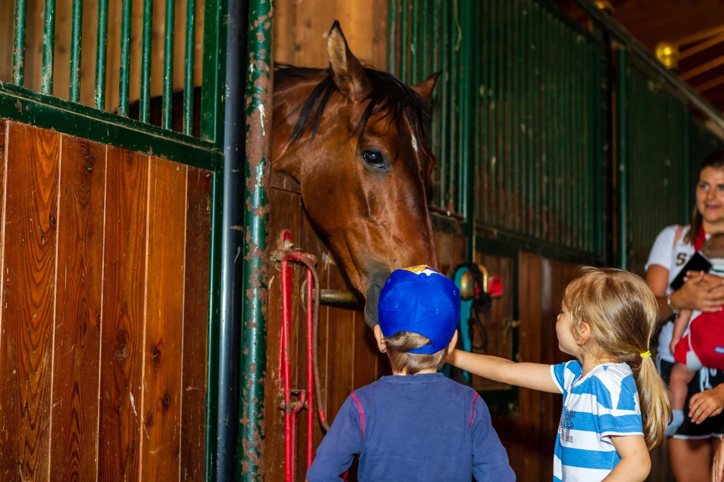 Activities in Albergo Dimaro Wellness Hotel