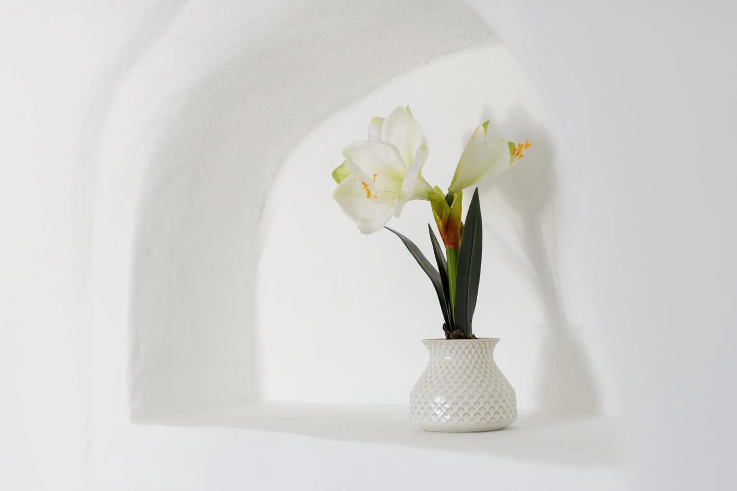 Decorative detail in Strogili