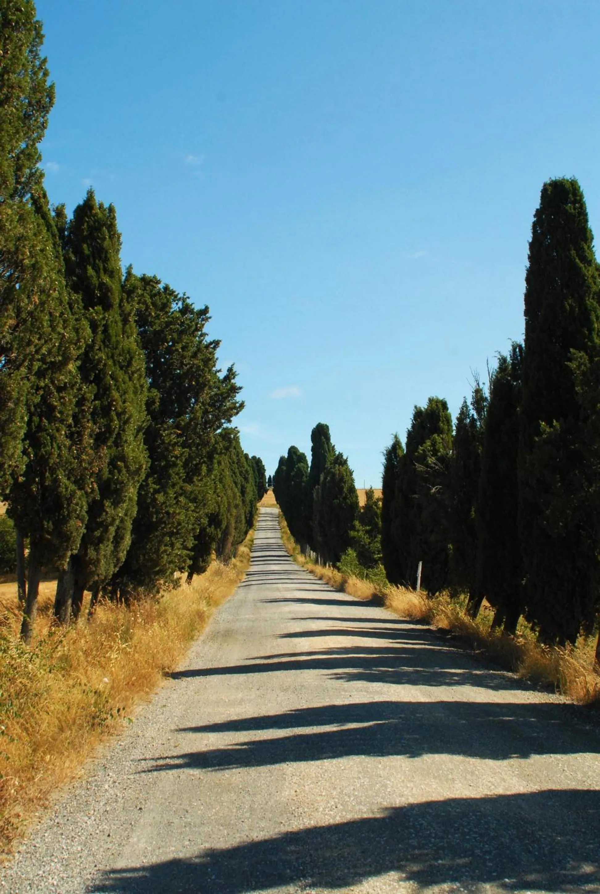 Area and facilities in Relais Villa Sensano