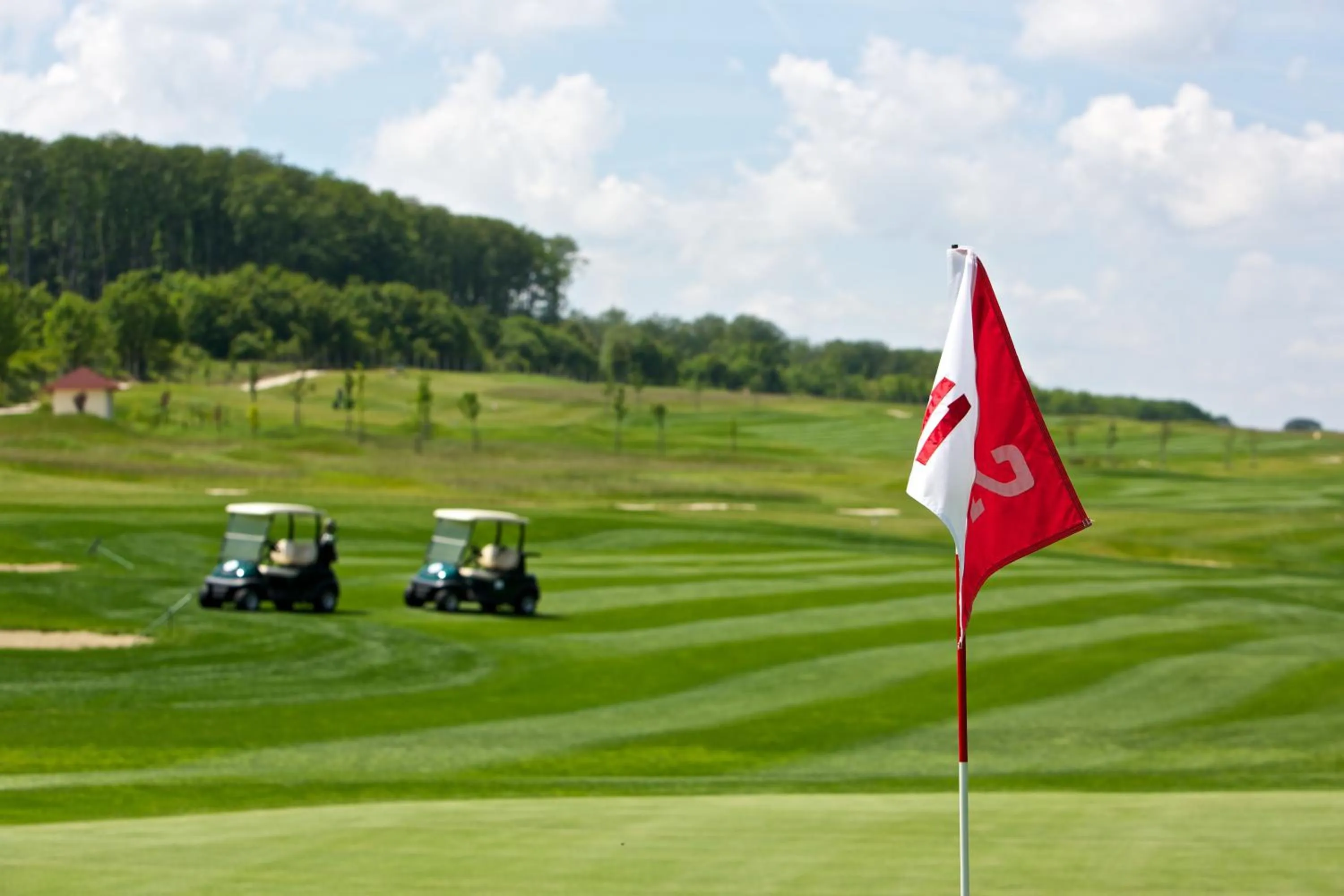 Golfcourse in Hotel Forest Hills