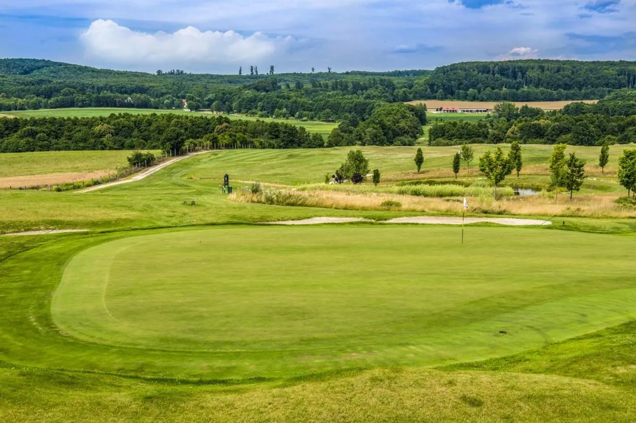 Golfcourse in Hotel Forest Hills