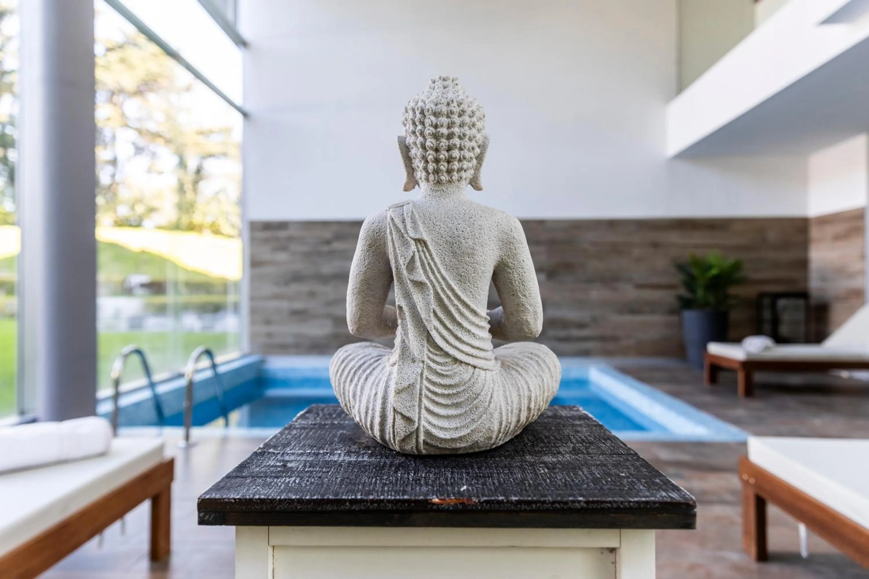 Pool view in Park Hotel