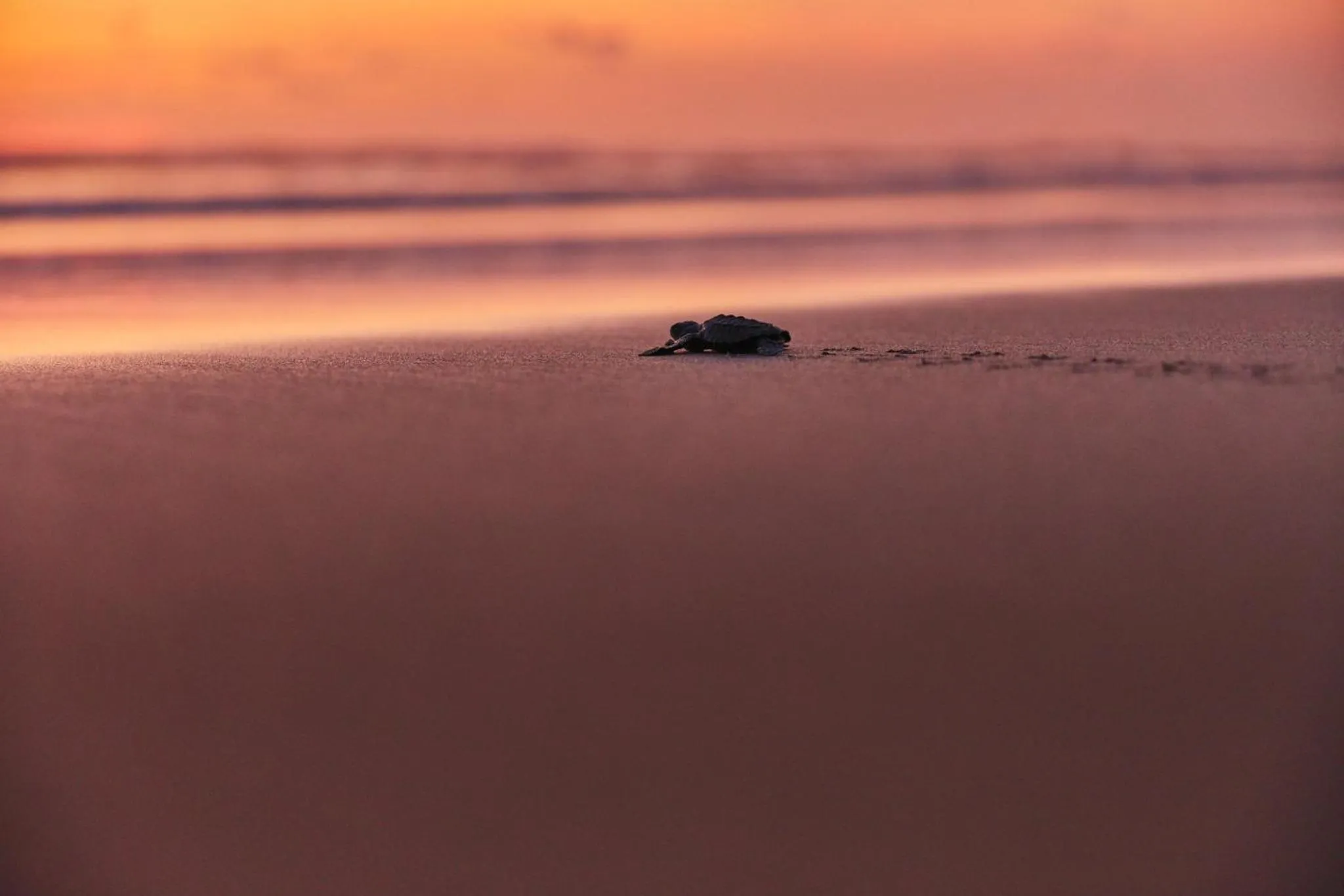 Nearby landmark in One Acapulco Diamante