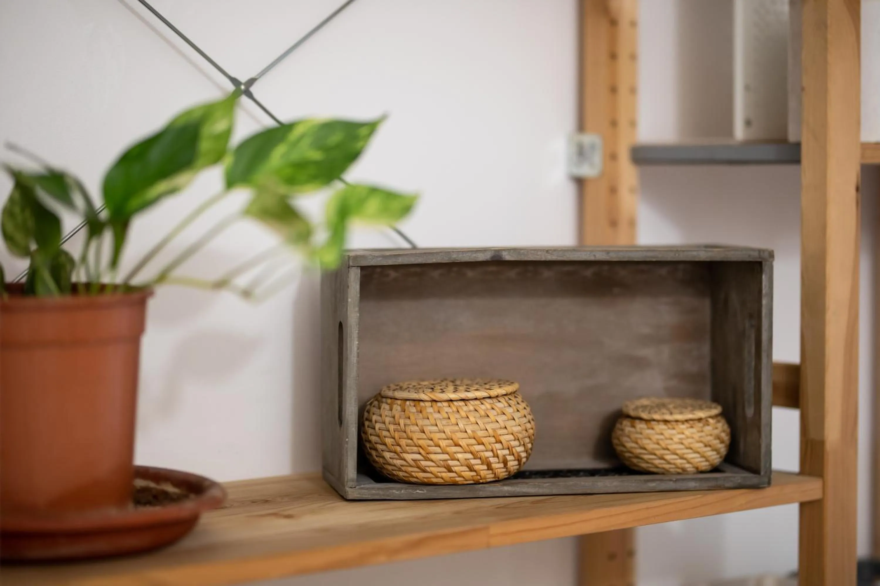 Decorative detail in L'Imperiale RomaTrastevere