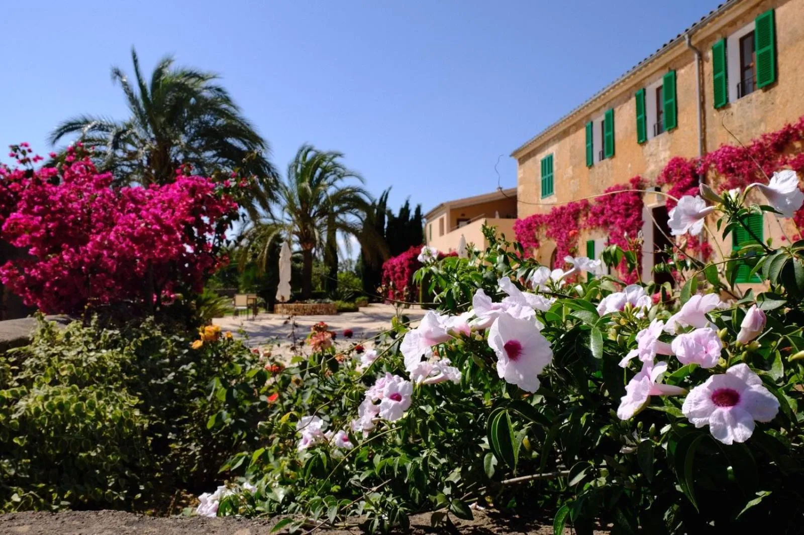 Garden in son capellot