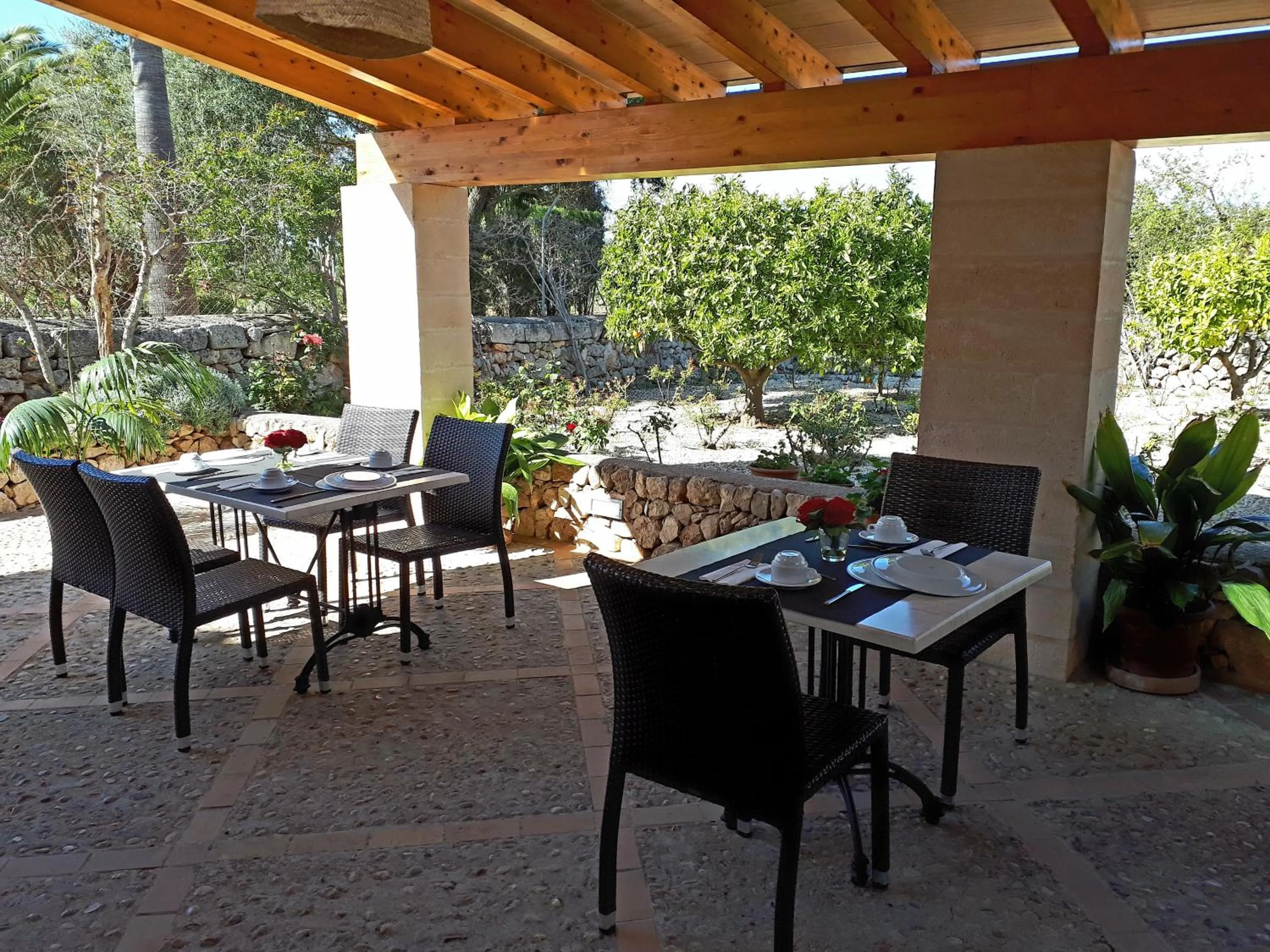 Property building in son capellot
