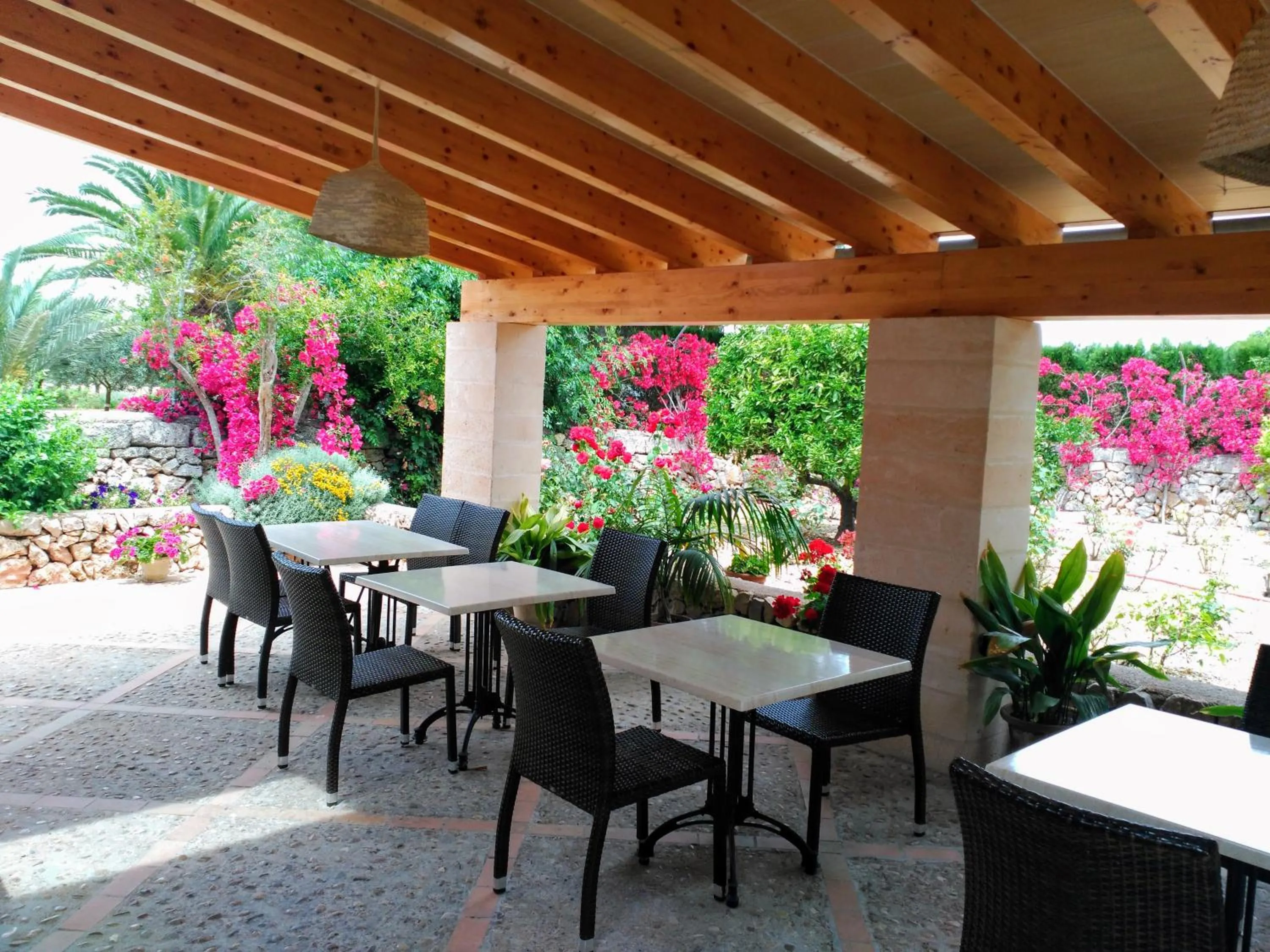 Garden view in son capellot