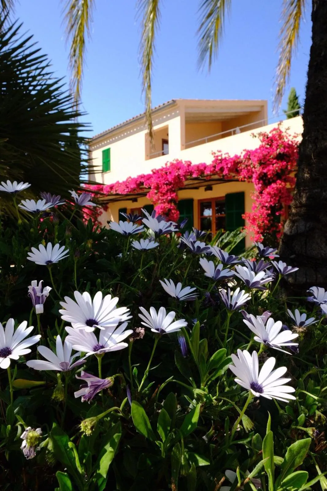 Garden in son capellot