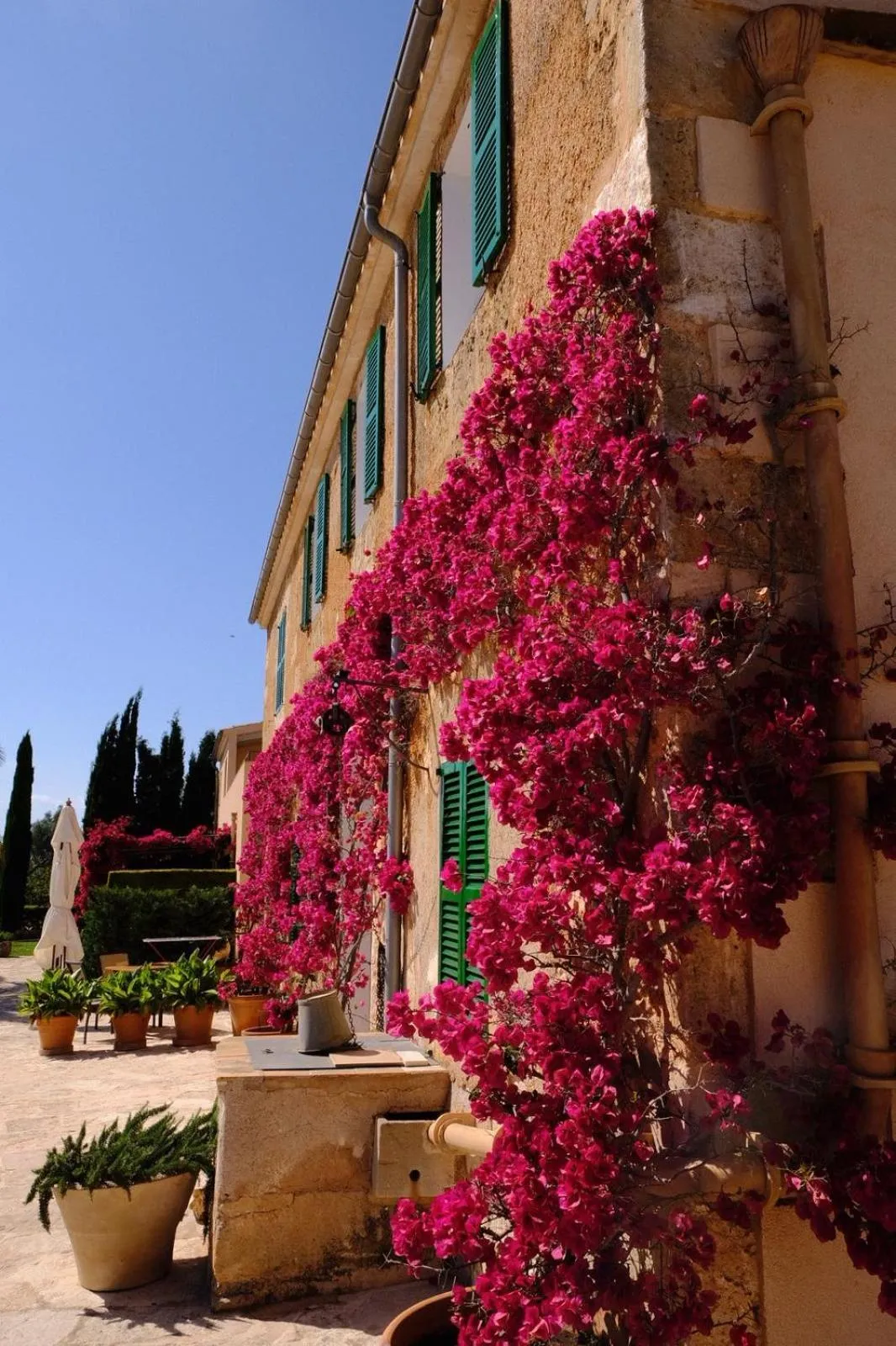 Garden in son capellot