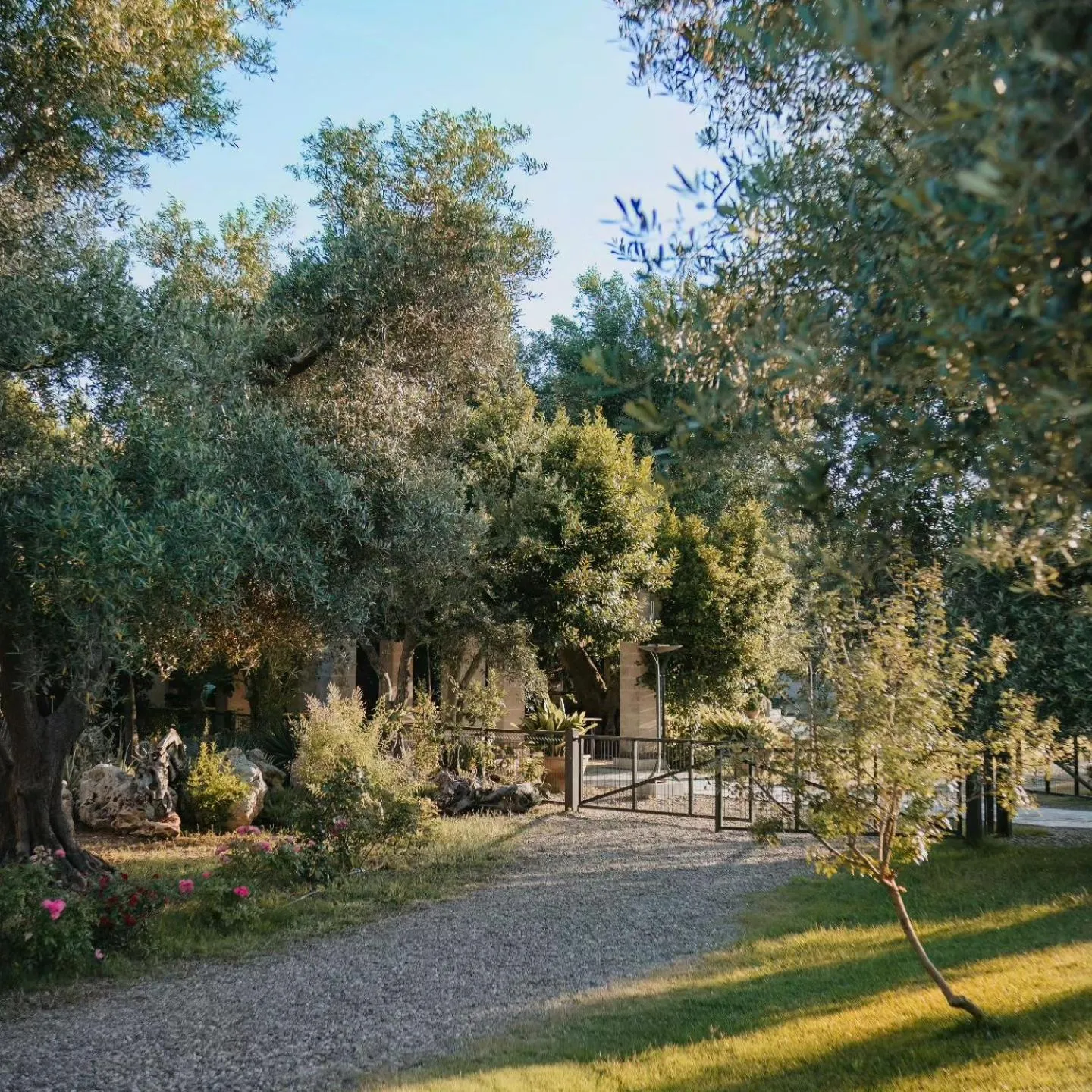 Natural landscape in Masseria Le Lamie