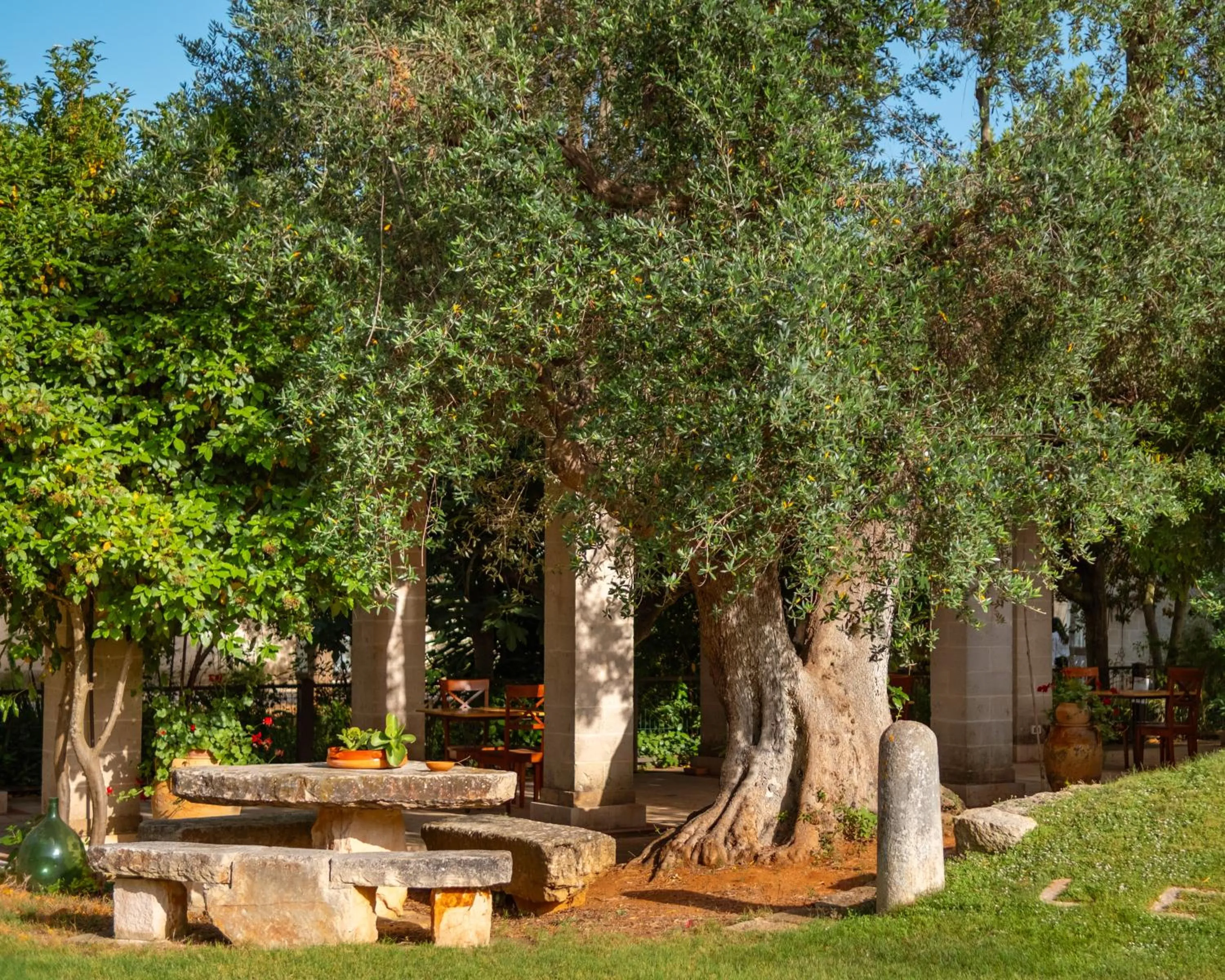 Garden in Masseria Le Lamie