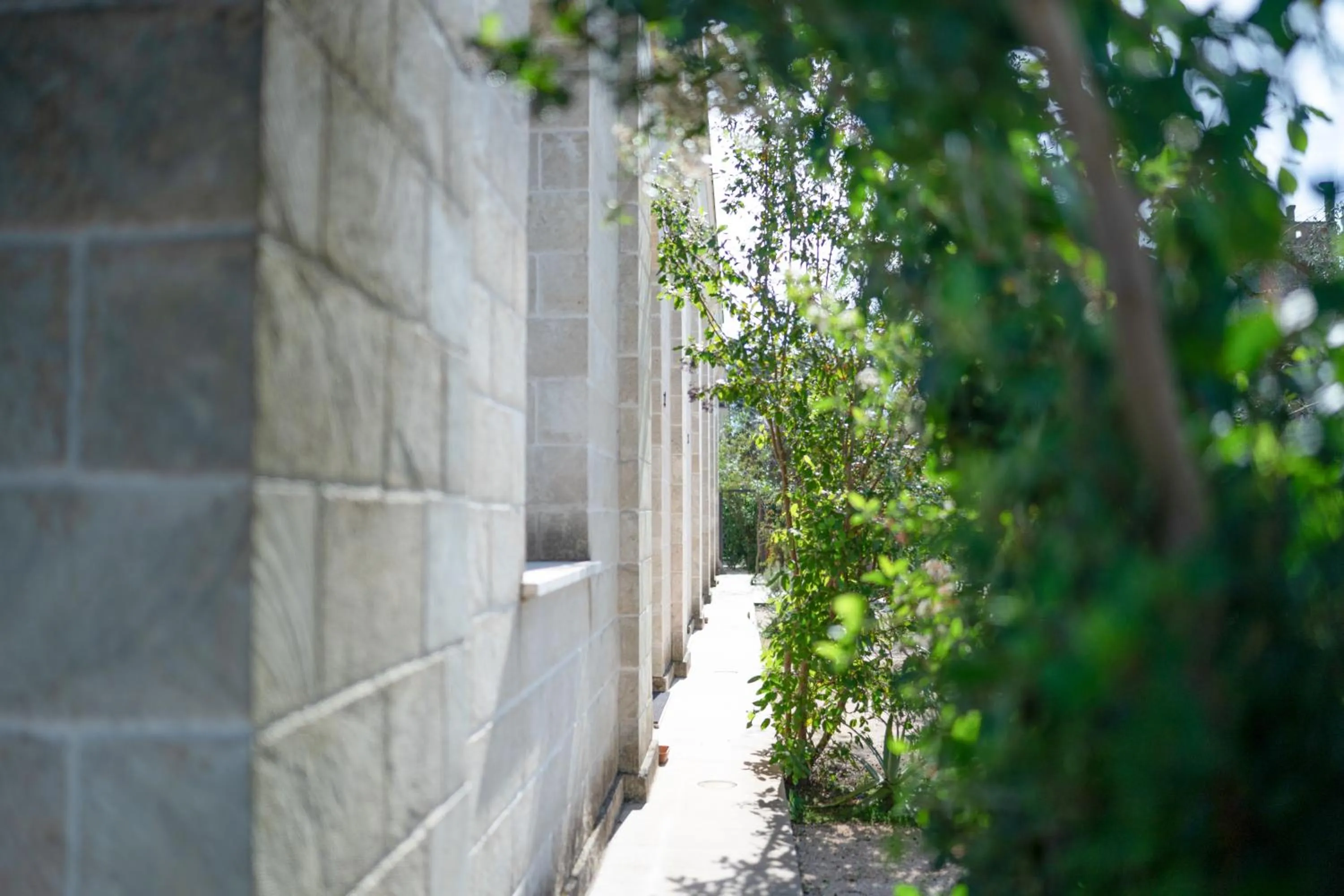 Garden view in Masseria Le Lamie