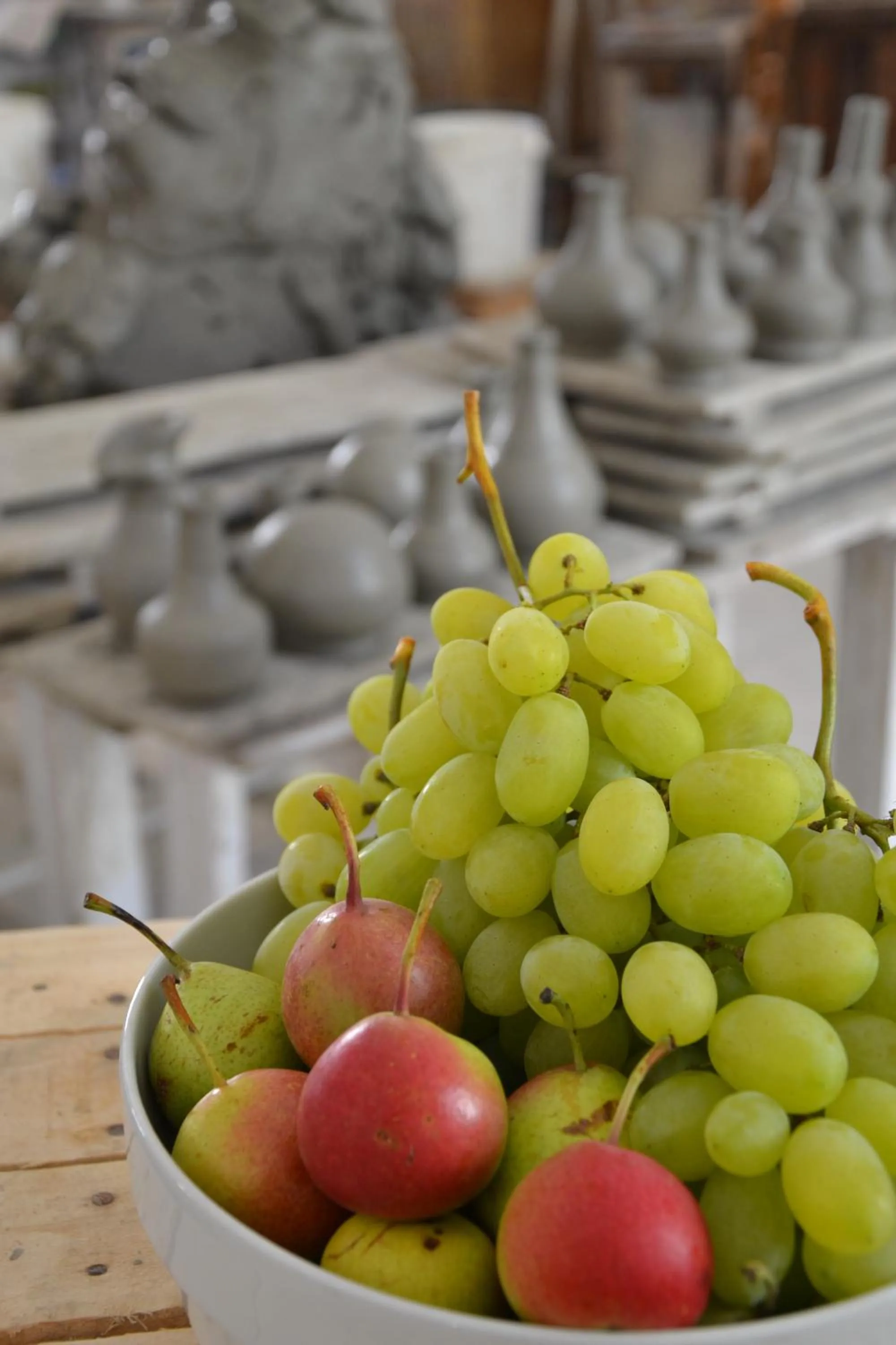 Activities in Masseria Le Lamie